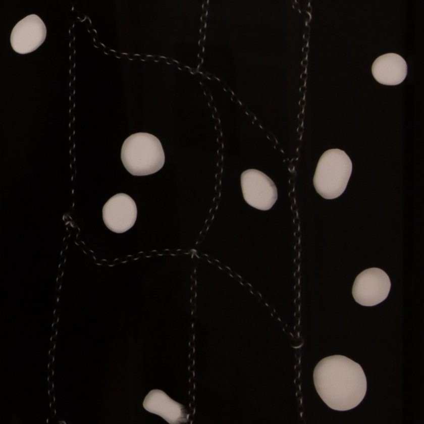 Photogram 8