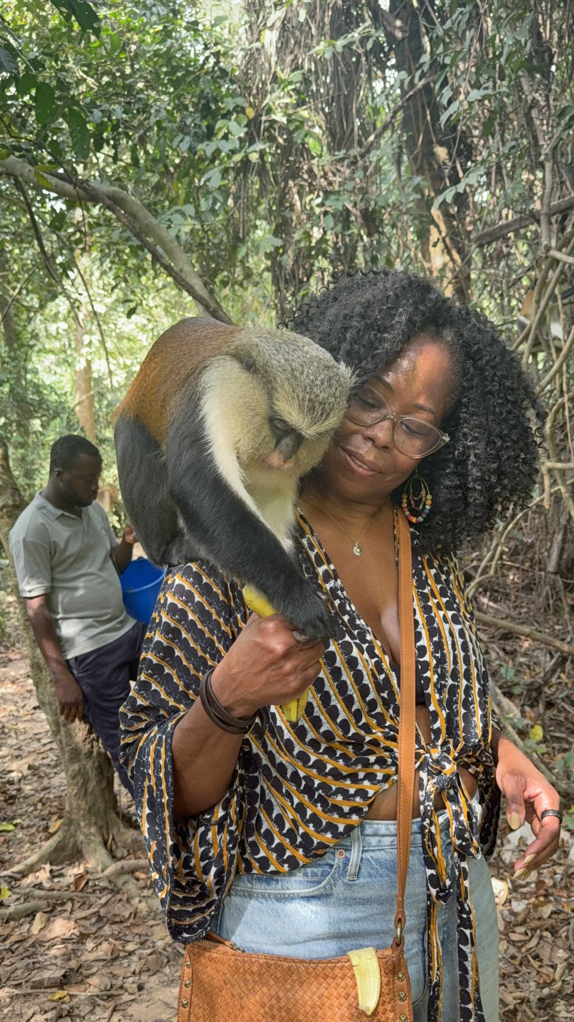 Mona Monkeys in Ghana