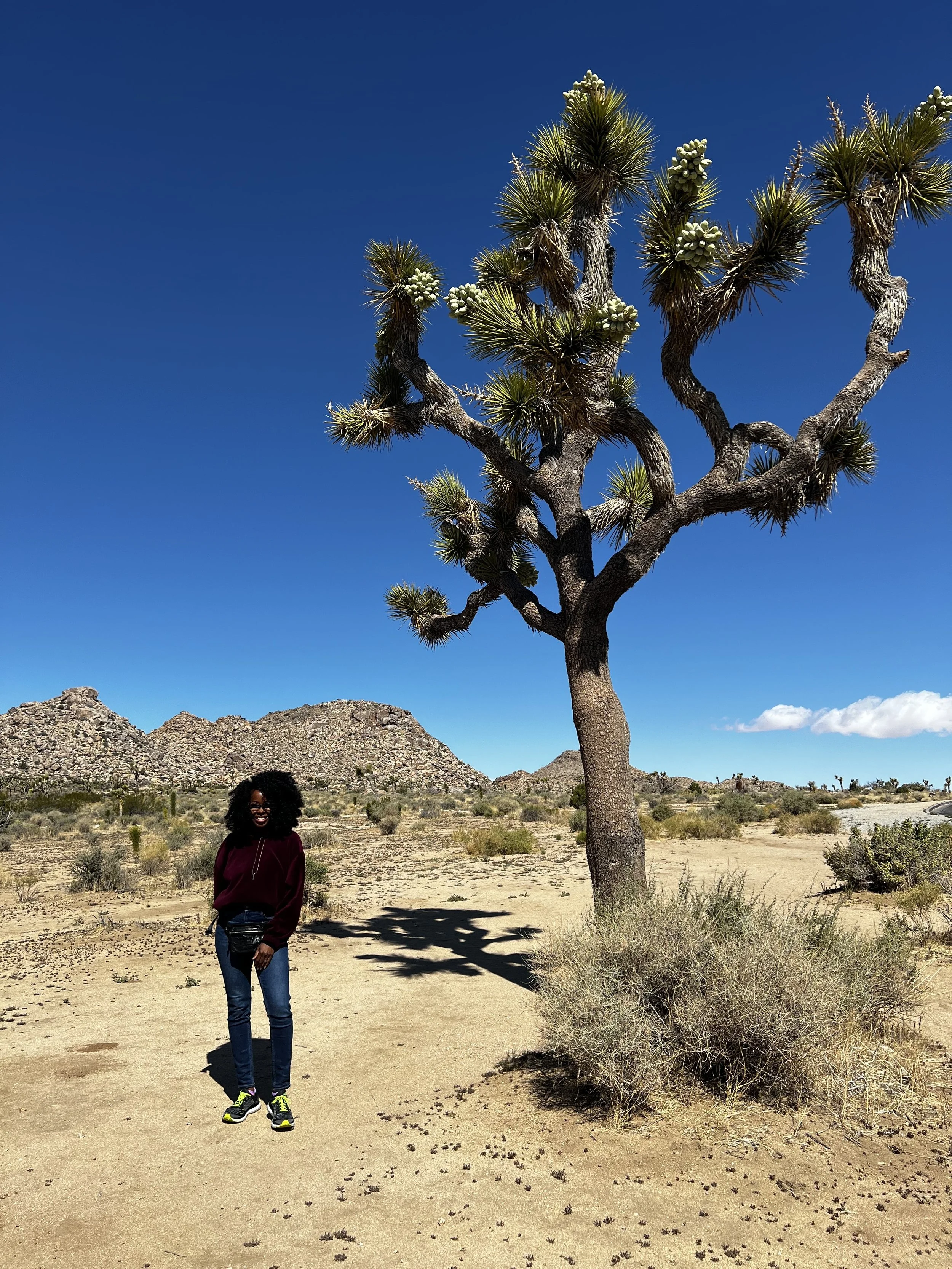 Joshua Tree National Park