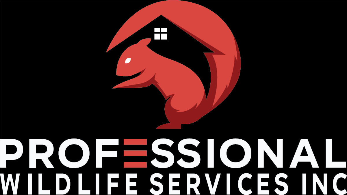 Wildlife Logo (1).png