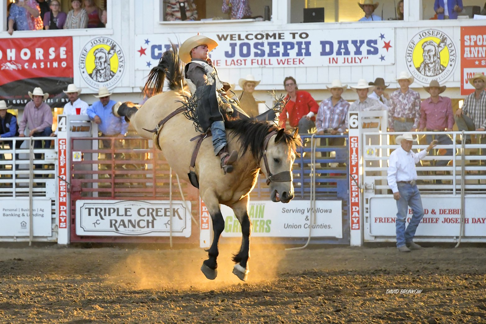 Chief Joseph Days Rodeo