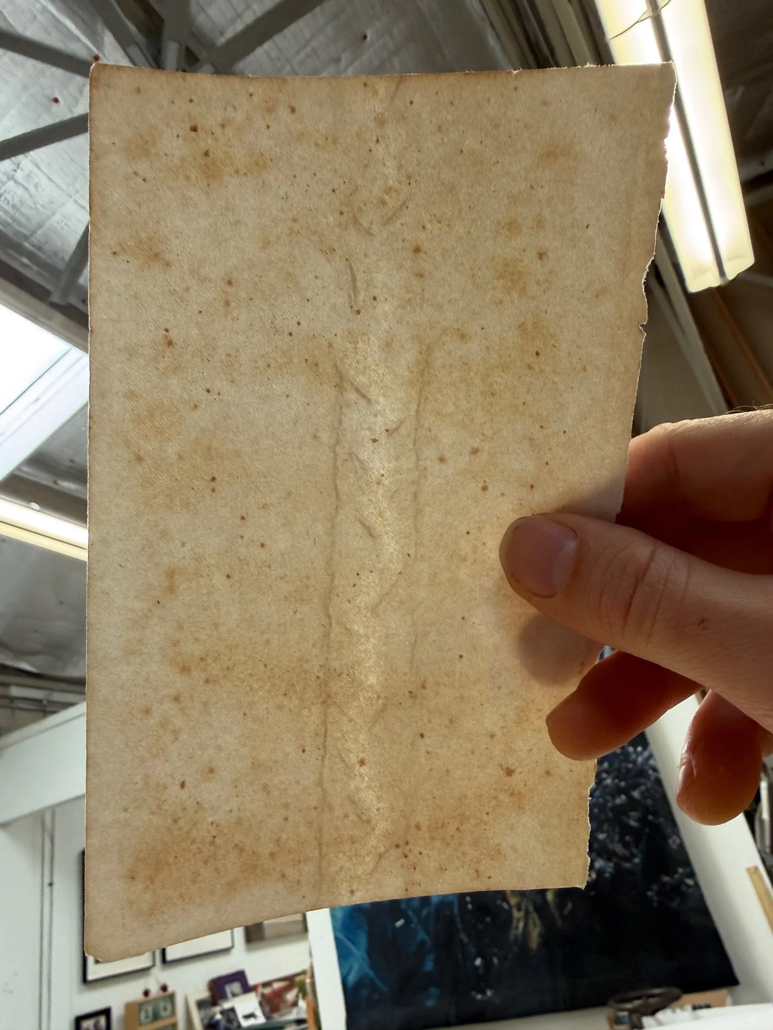 Unknown wove sheet flaw. Possibly percussion (i.e., dropped mould on top sheet of post) or water wave lifting sheet between rib(s) or wooden slat take up real damage on paper machine?