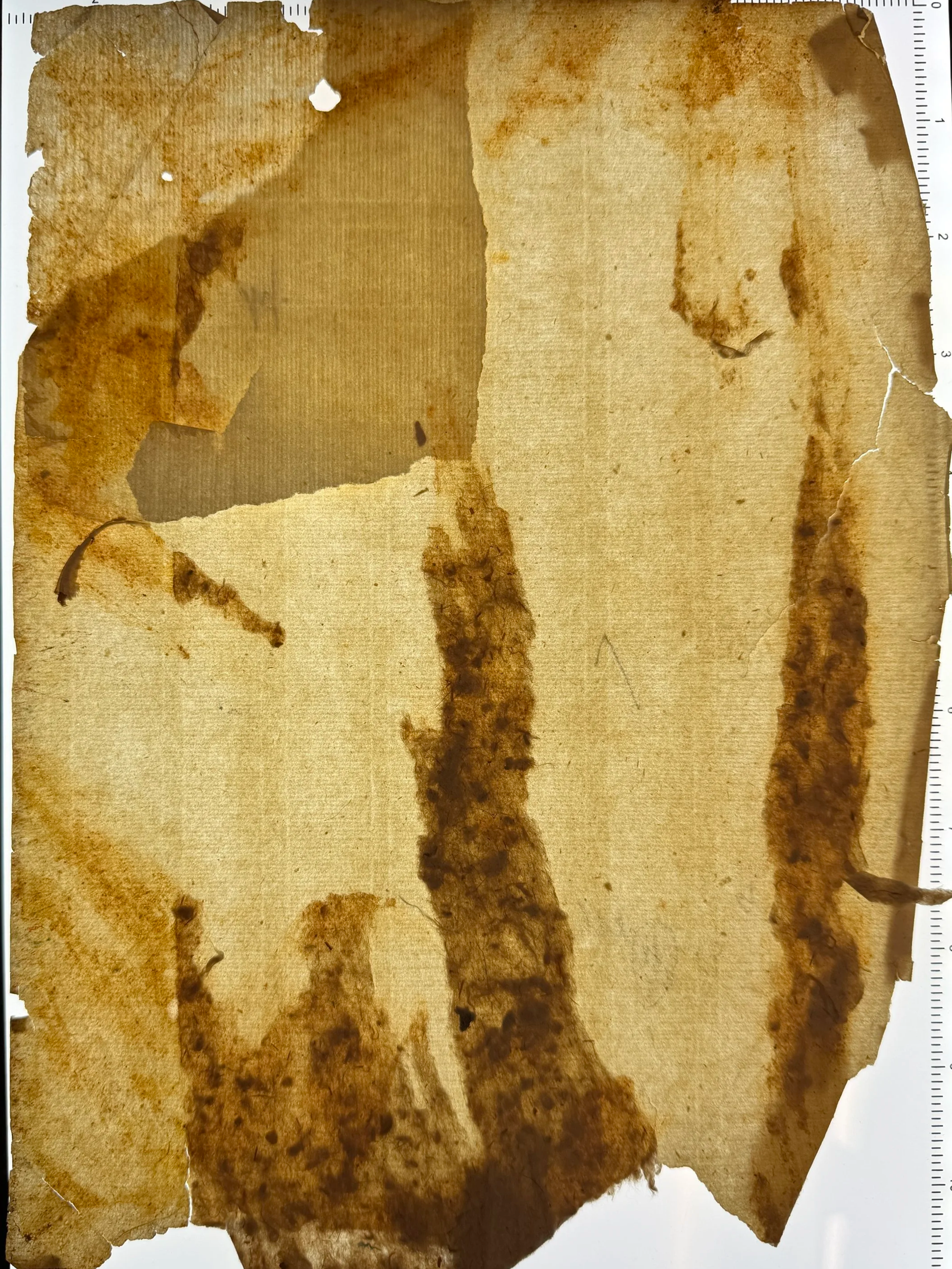 Unknown feature #16: Notice double chain lines. Despite being previously laminated to another sheet and board, this appears to be a single sheet (i.e. not two sheets laminated). Do such moulds still exist? (Note: measurement is in inches for this she