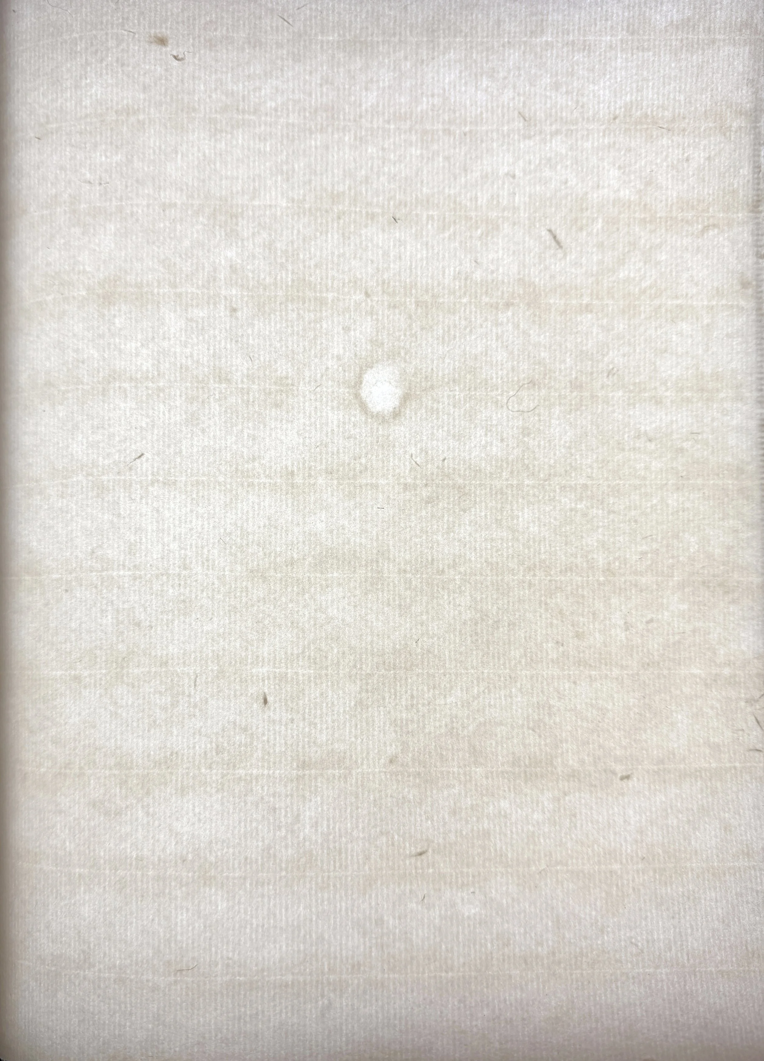 Magnolia Coucher's Drop (tear),  flax & hemp
