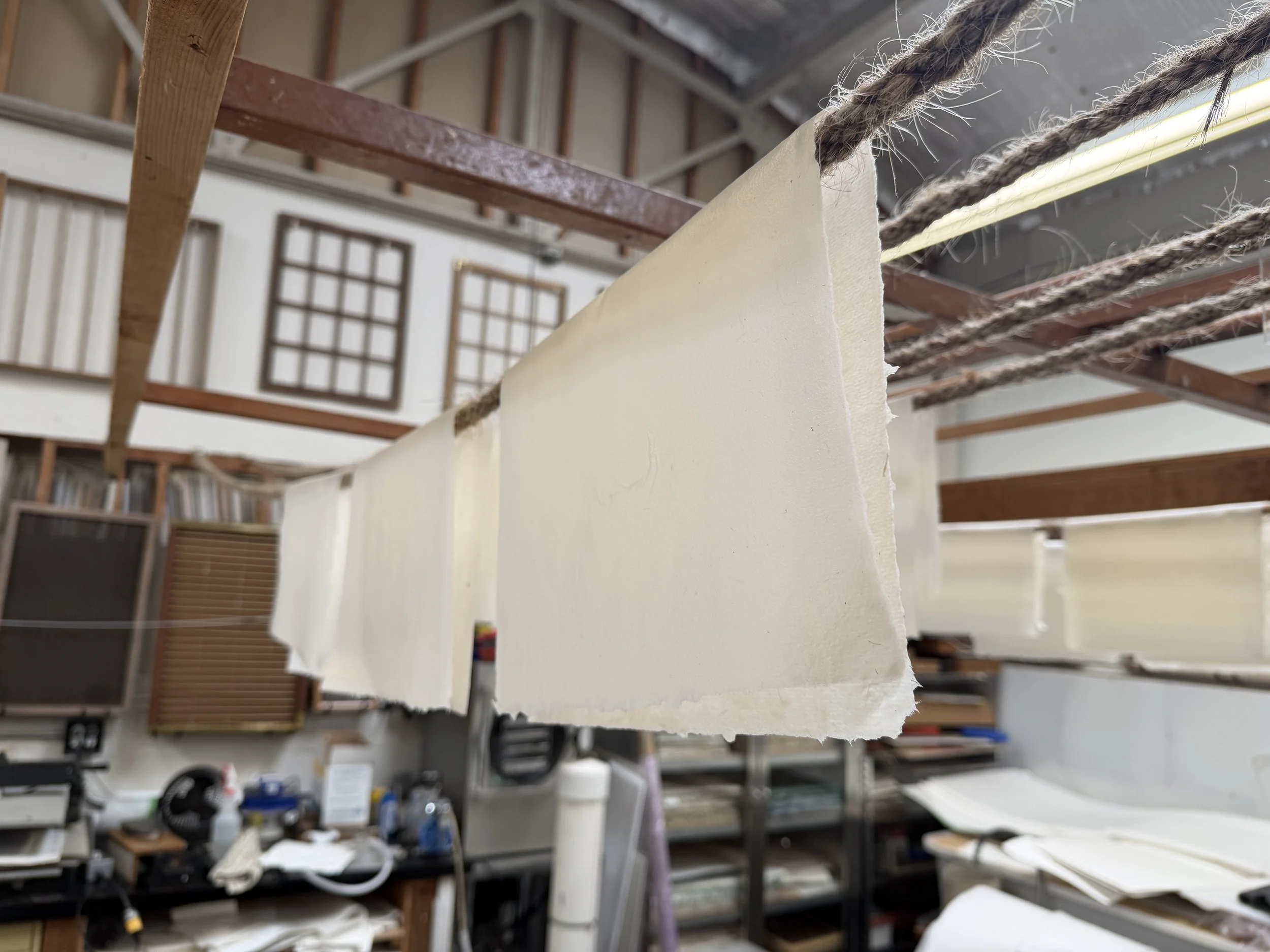 Magnolia Saper Studio: Allowing a newly gelatin-sized sheet to stick to itself