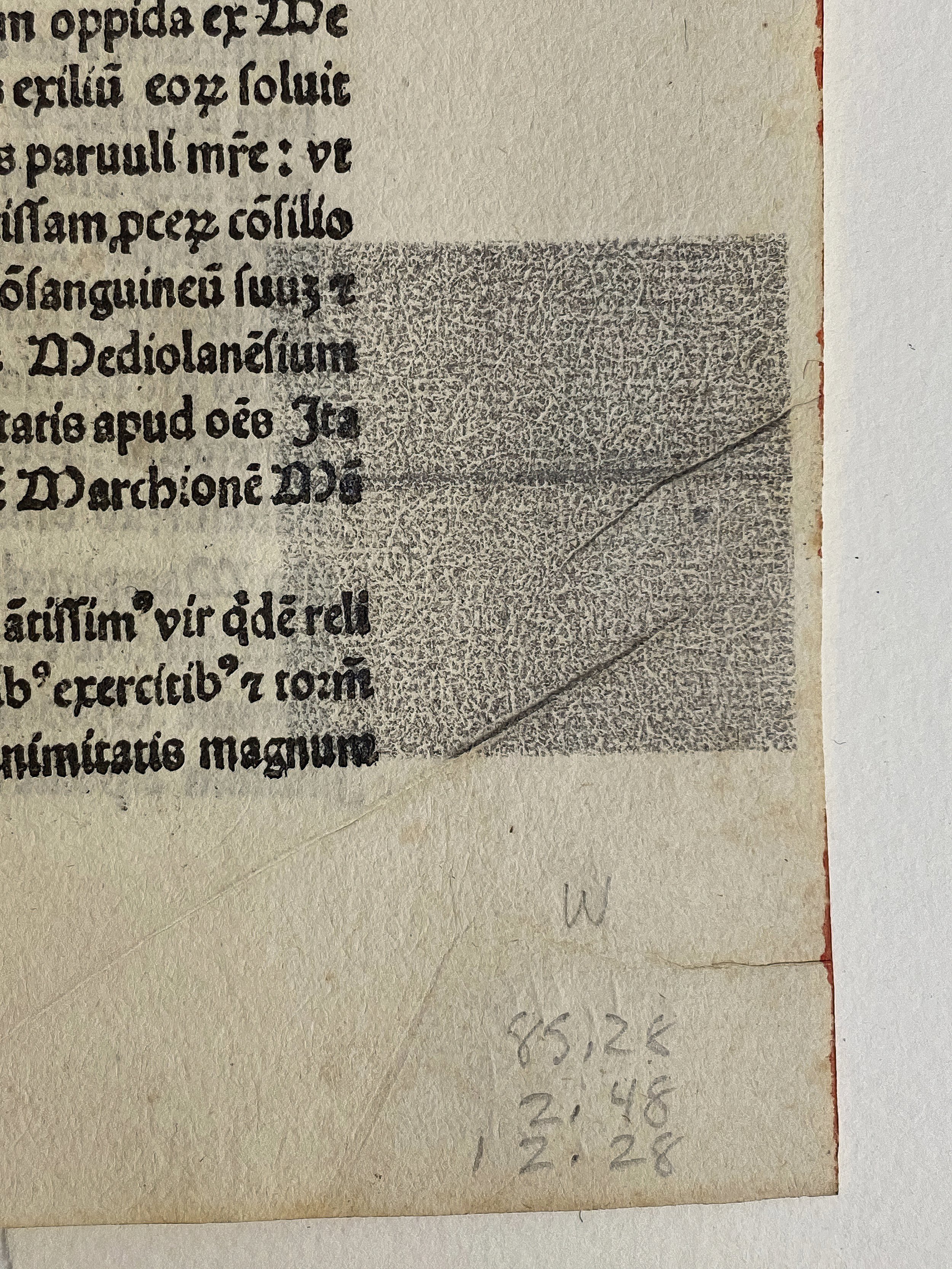 Graphite on 17th century paper showing felt hair marks