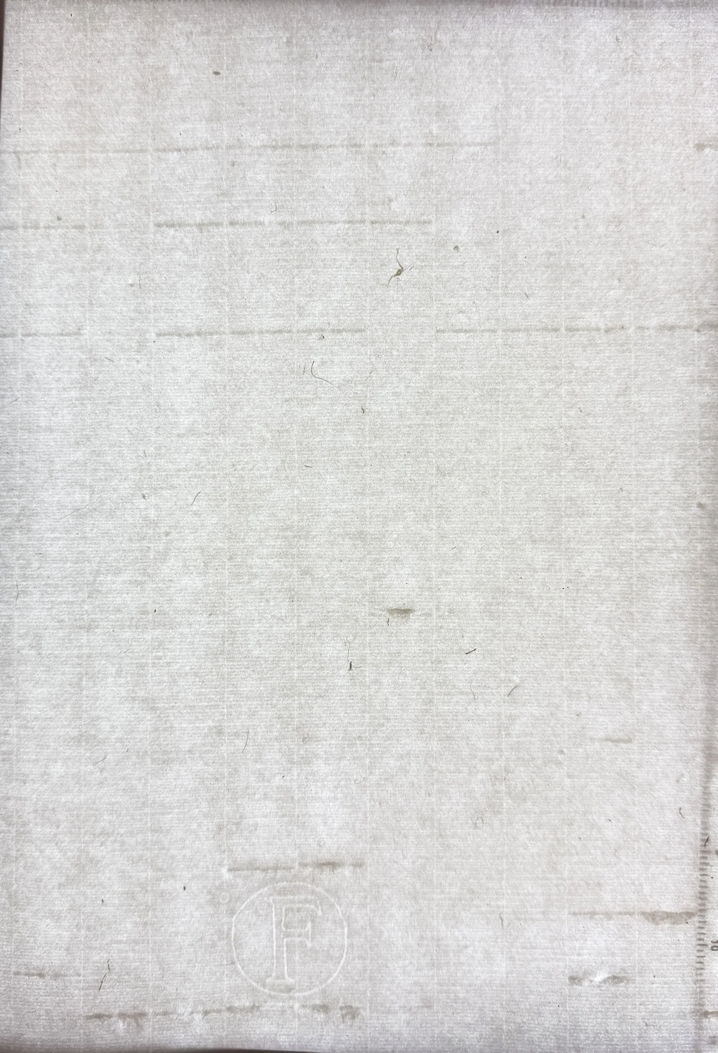 Magnolia Old Laid Mould with Missing laid lines,  flax & hemp