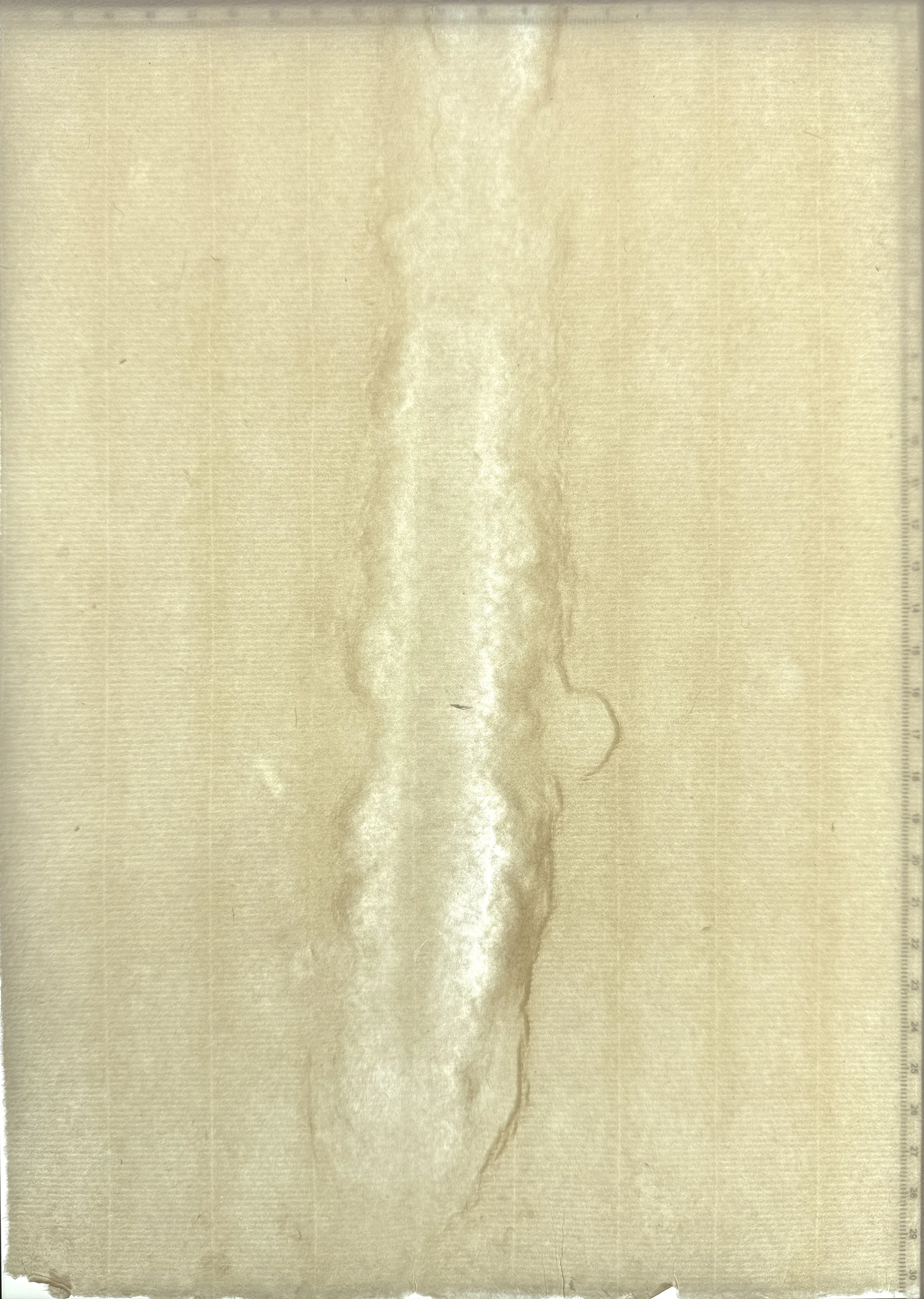 Magnolia paper: Percussion while on post, flax, and hemp furnish