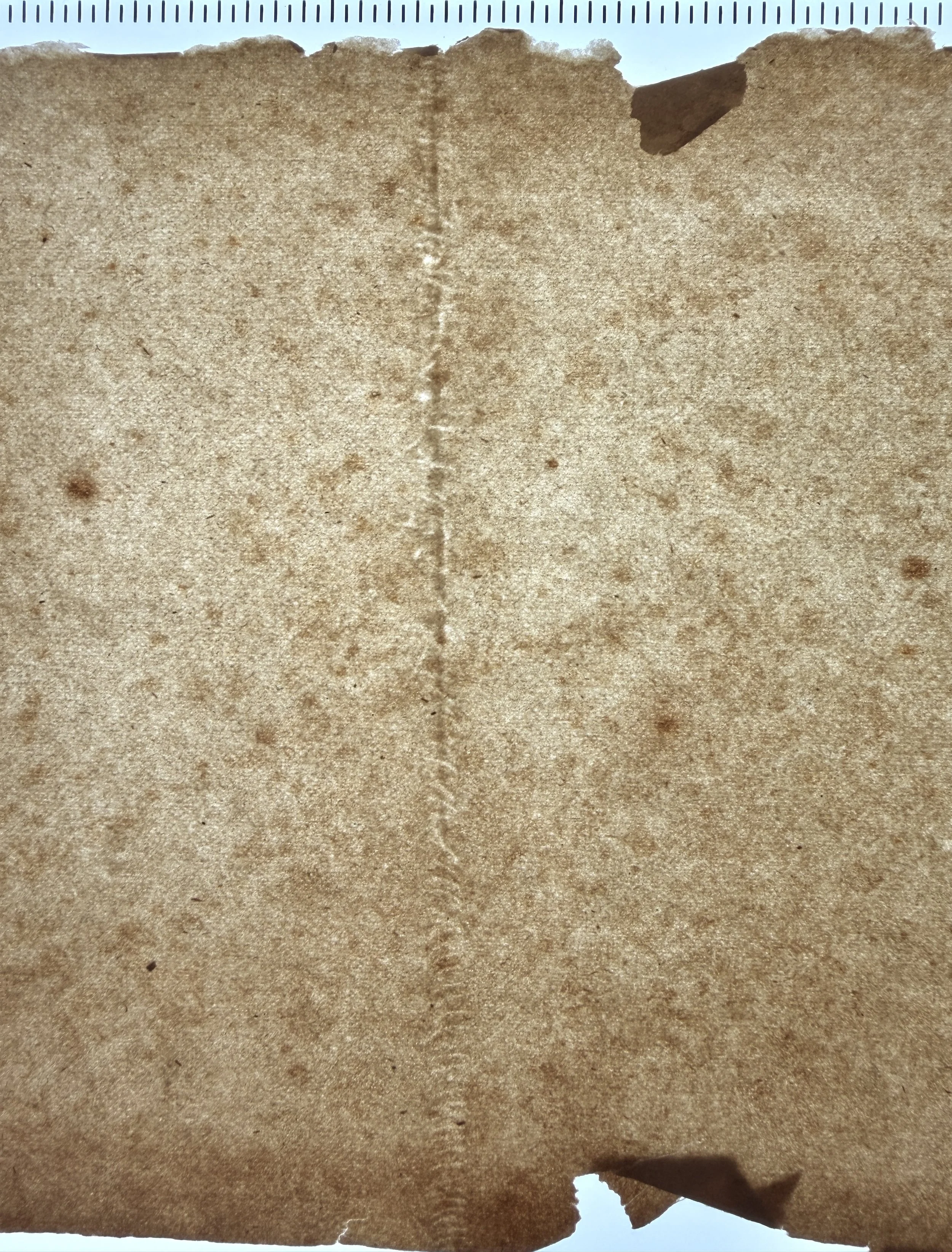 Stiched together wove screen (machine Wire or Forming Fabric) on paper machine?
