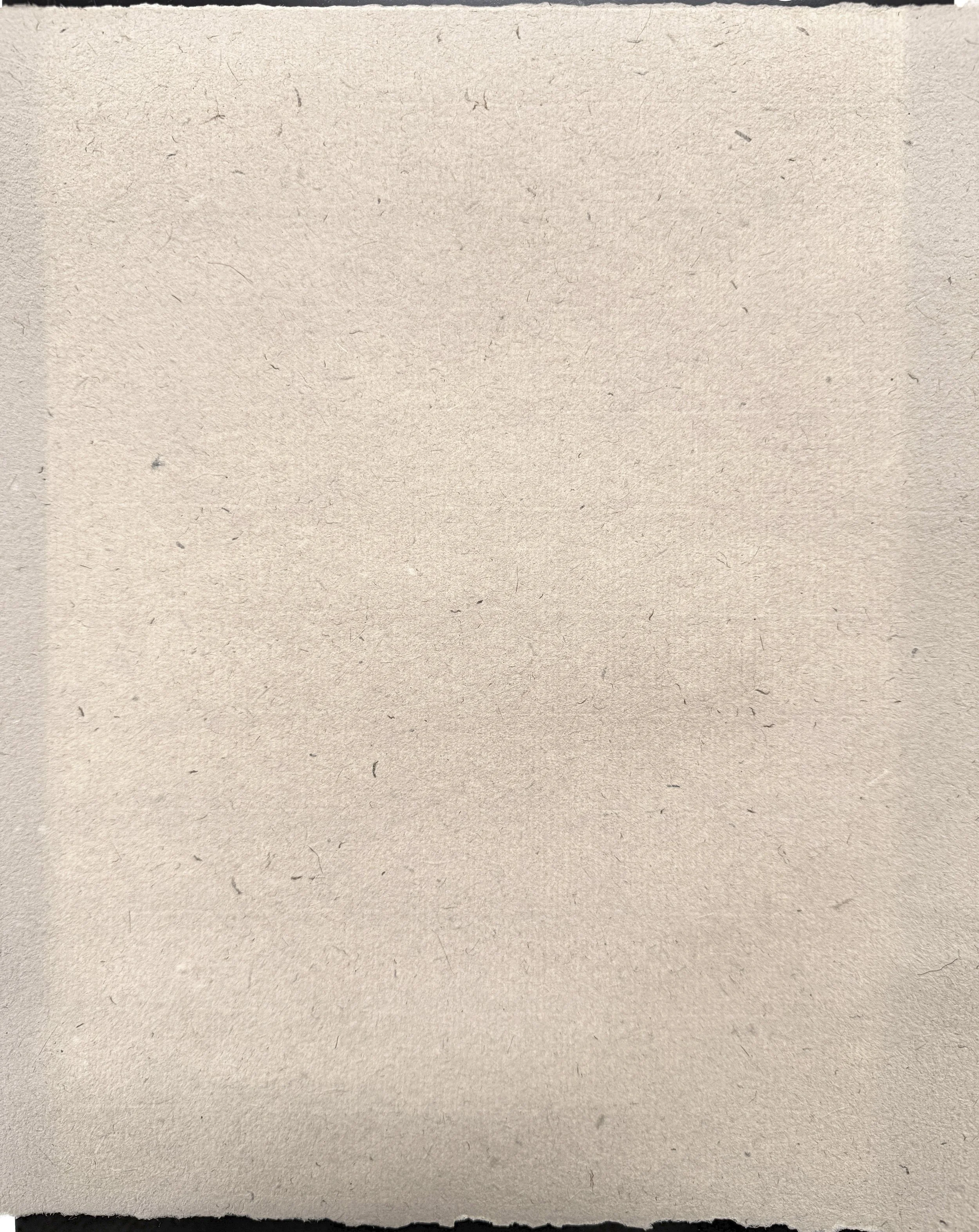 Magnolia paper: Shives, flax & hemp