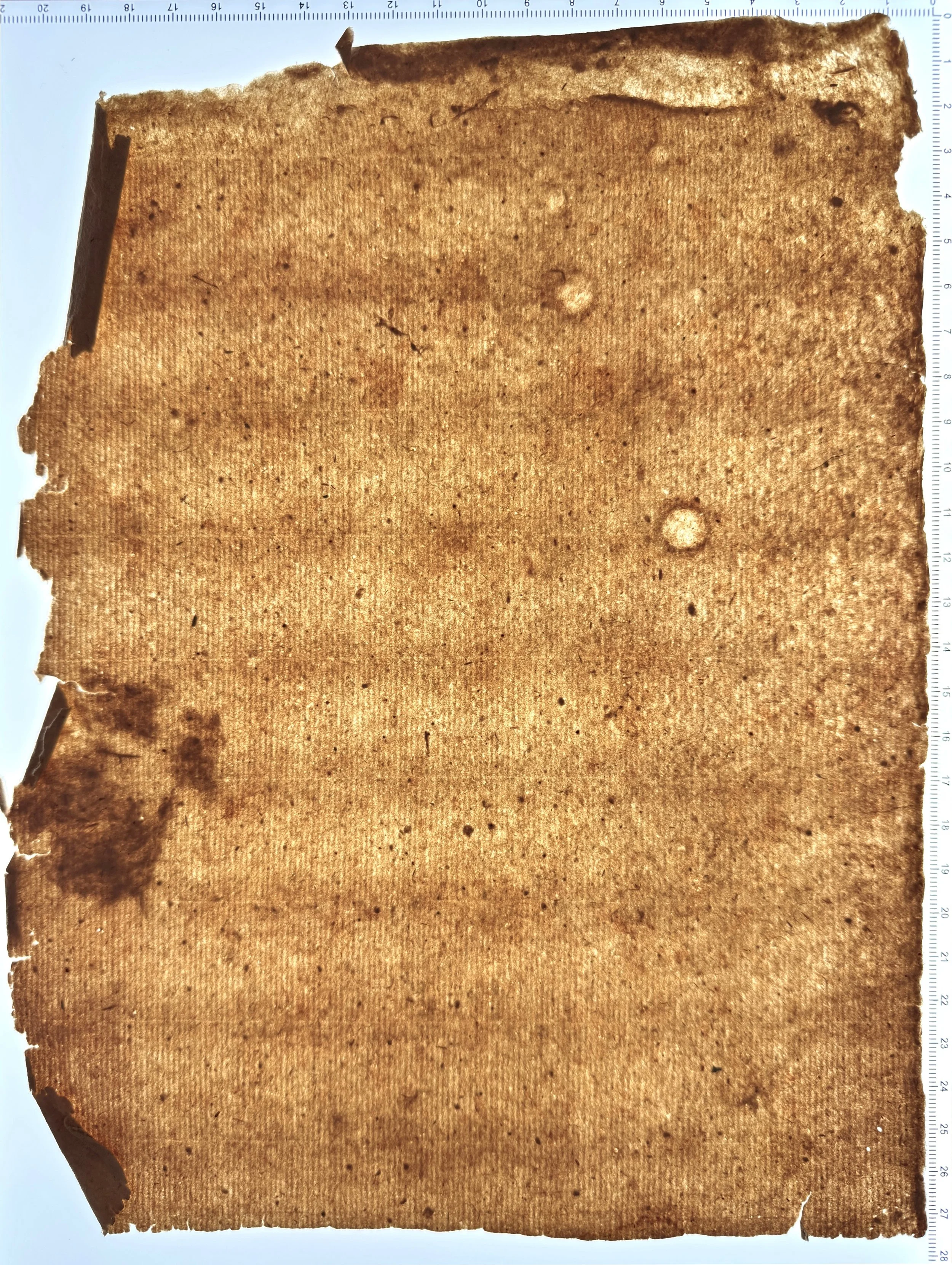 Thin edge, drops, and a heavy pulp inclusion