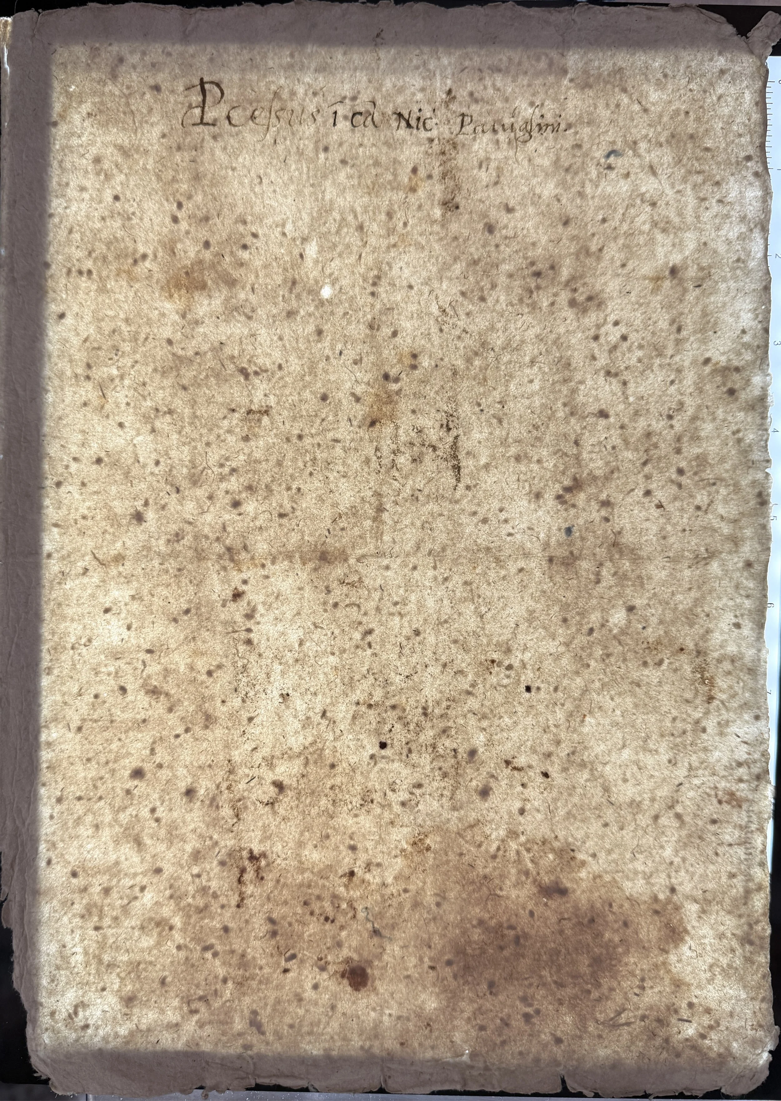 Old sheet with Knots & Shives 