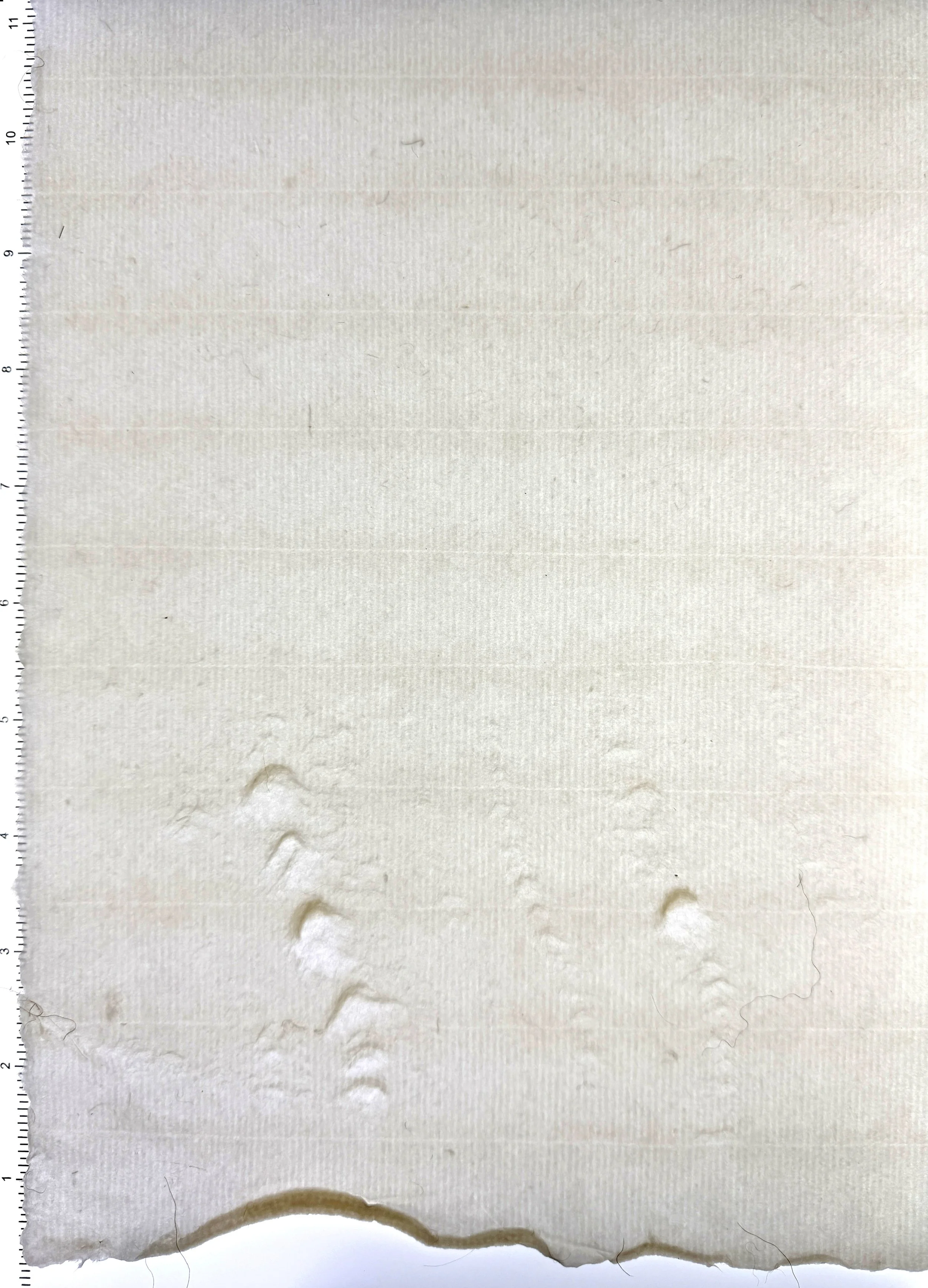 Magnolia Felt Dragging on Top Sheet of Post, flax and hemp
