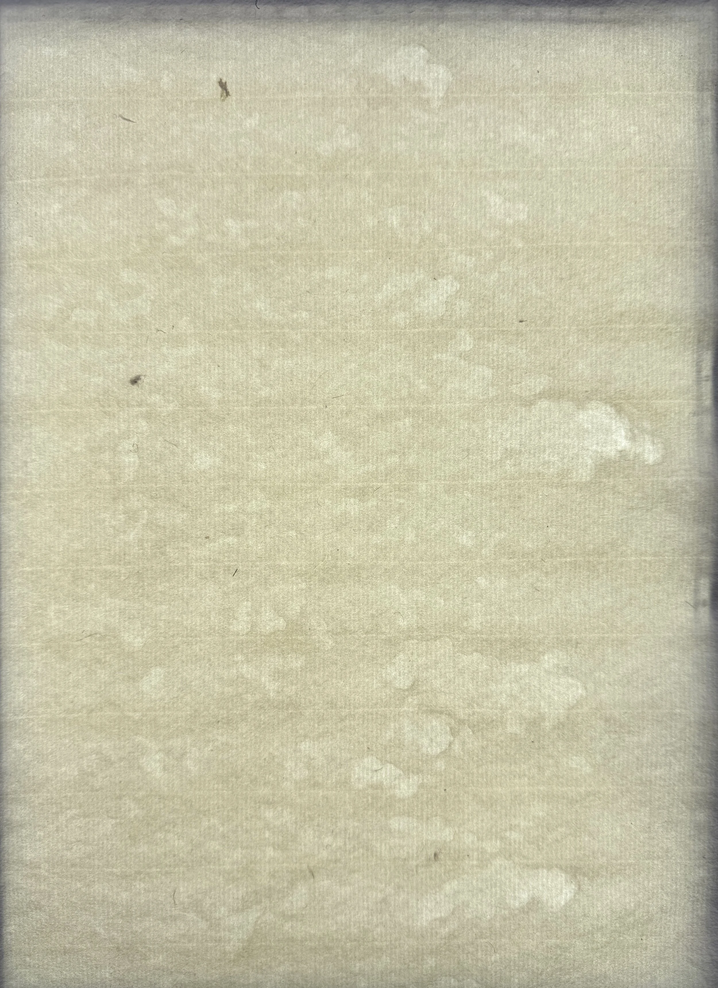 Magnolia paper: Cumulus pattern. Suspected uneven moisture on felt. Fax and hemp furnish