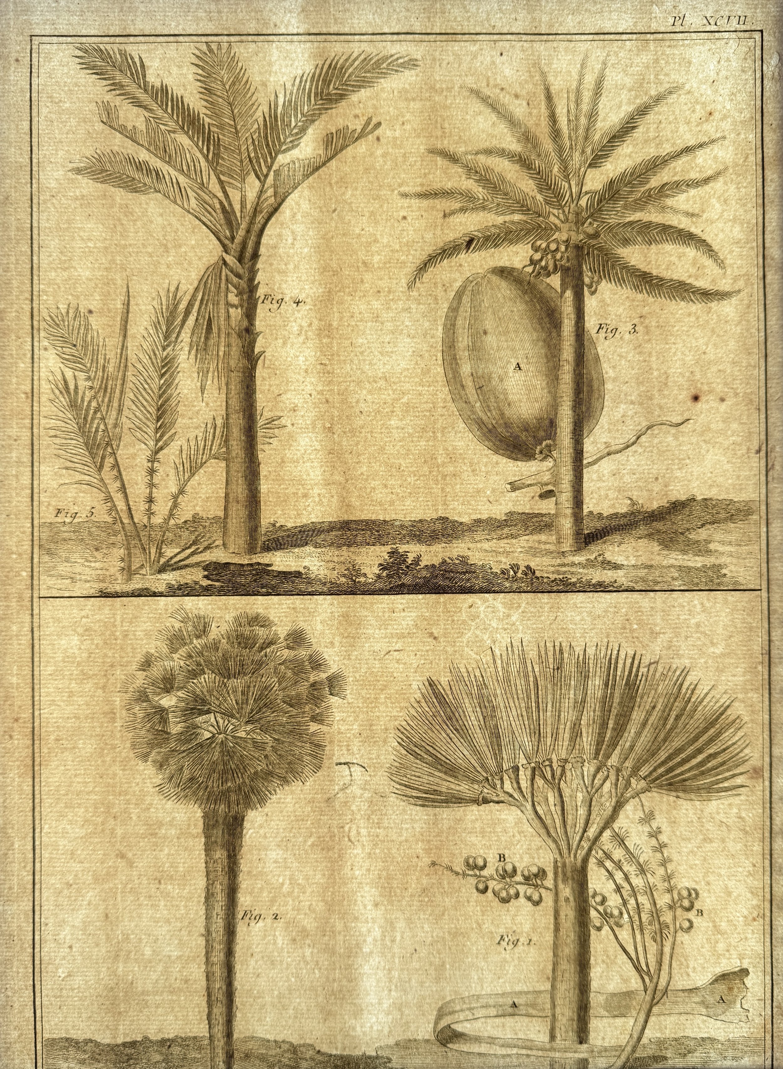 Unknown flaw #8: A percussive (?) flaw on a printed antique laid paper