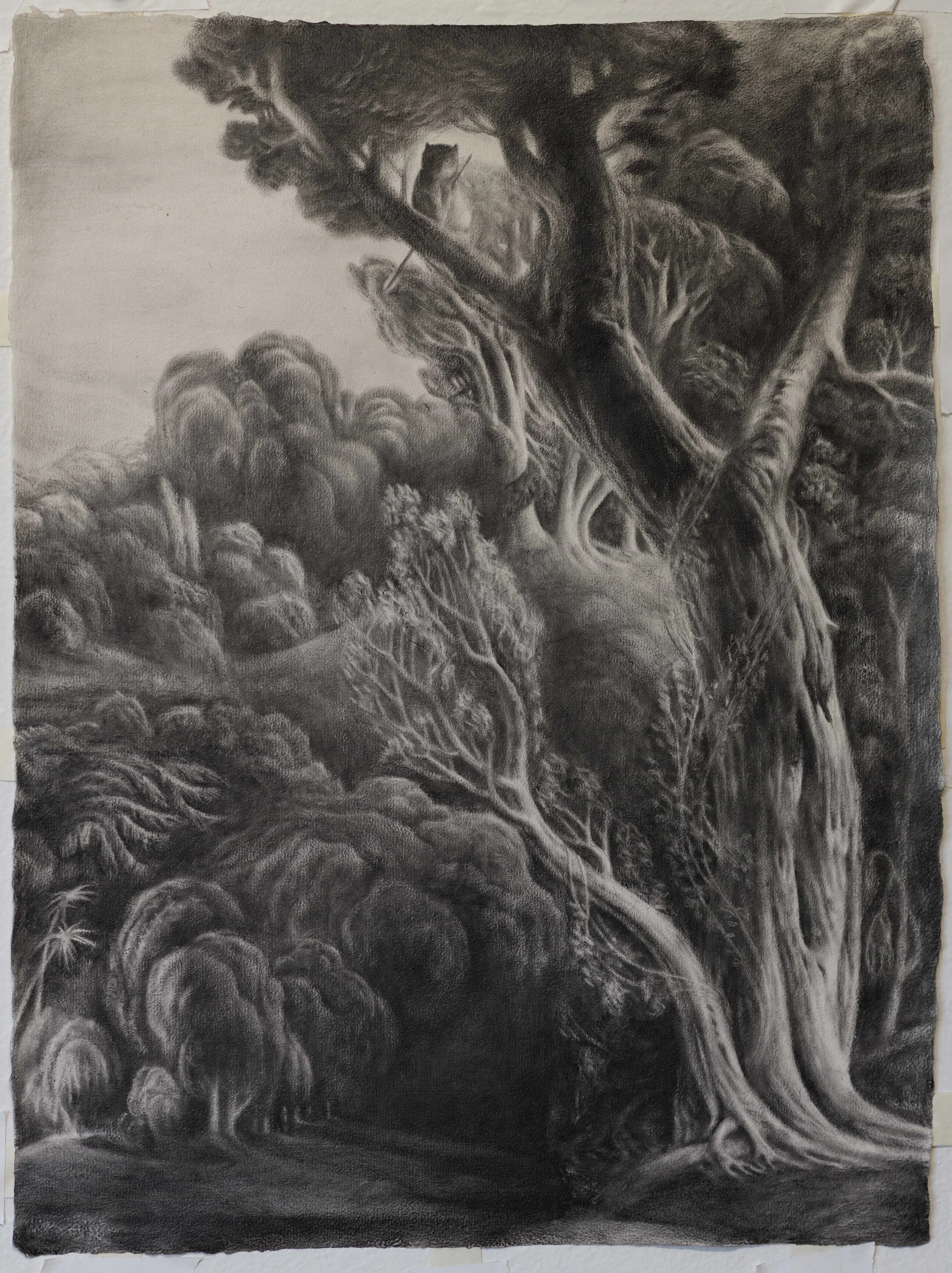 Oil-bound Graphite on Magnolia Paper 
23"x17"