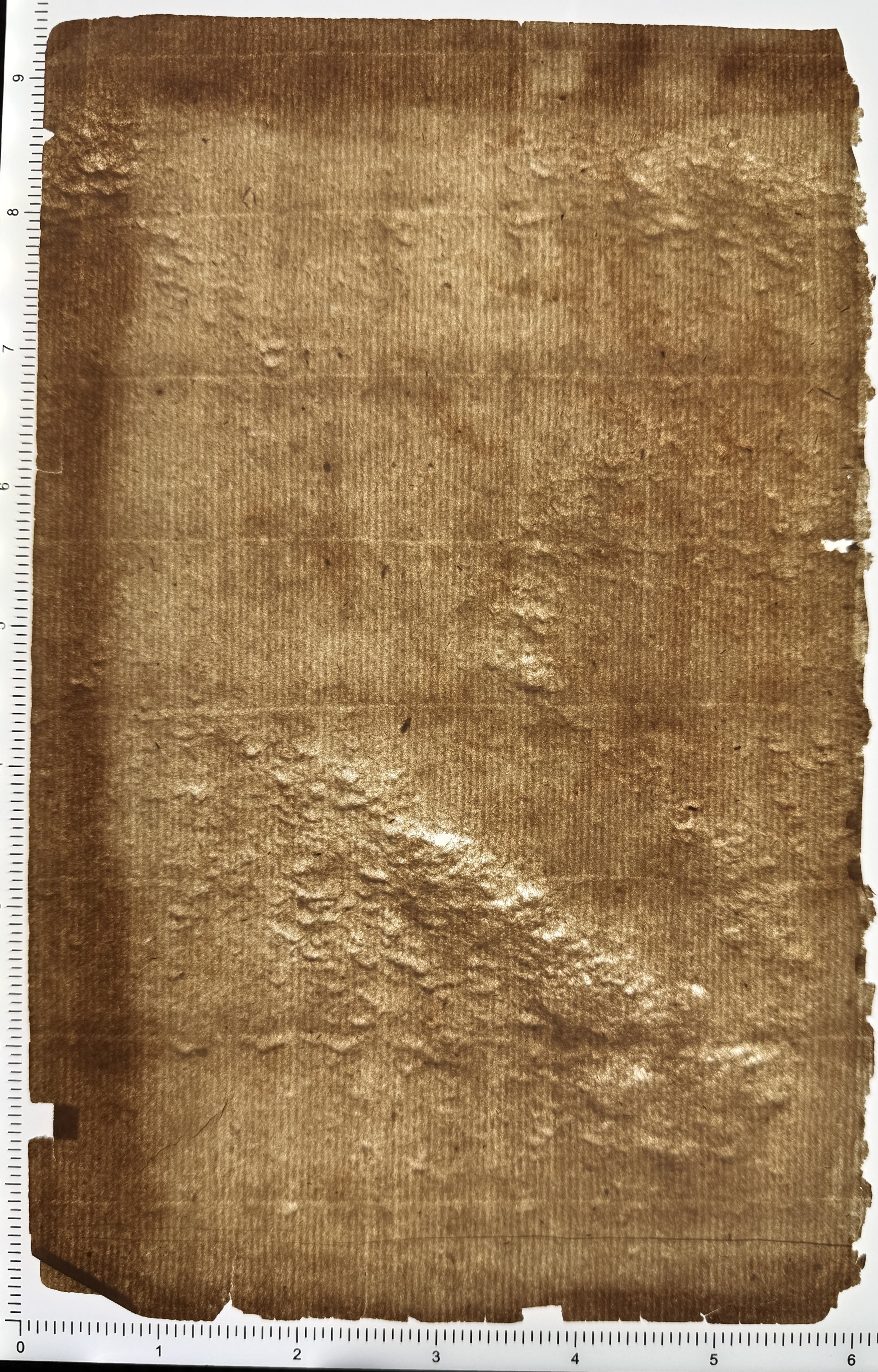 Unknown. Possibly a dragged felt 