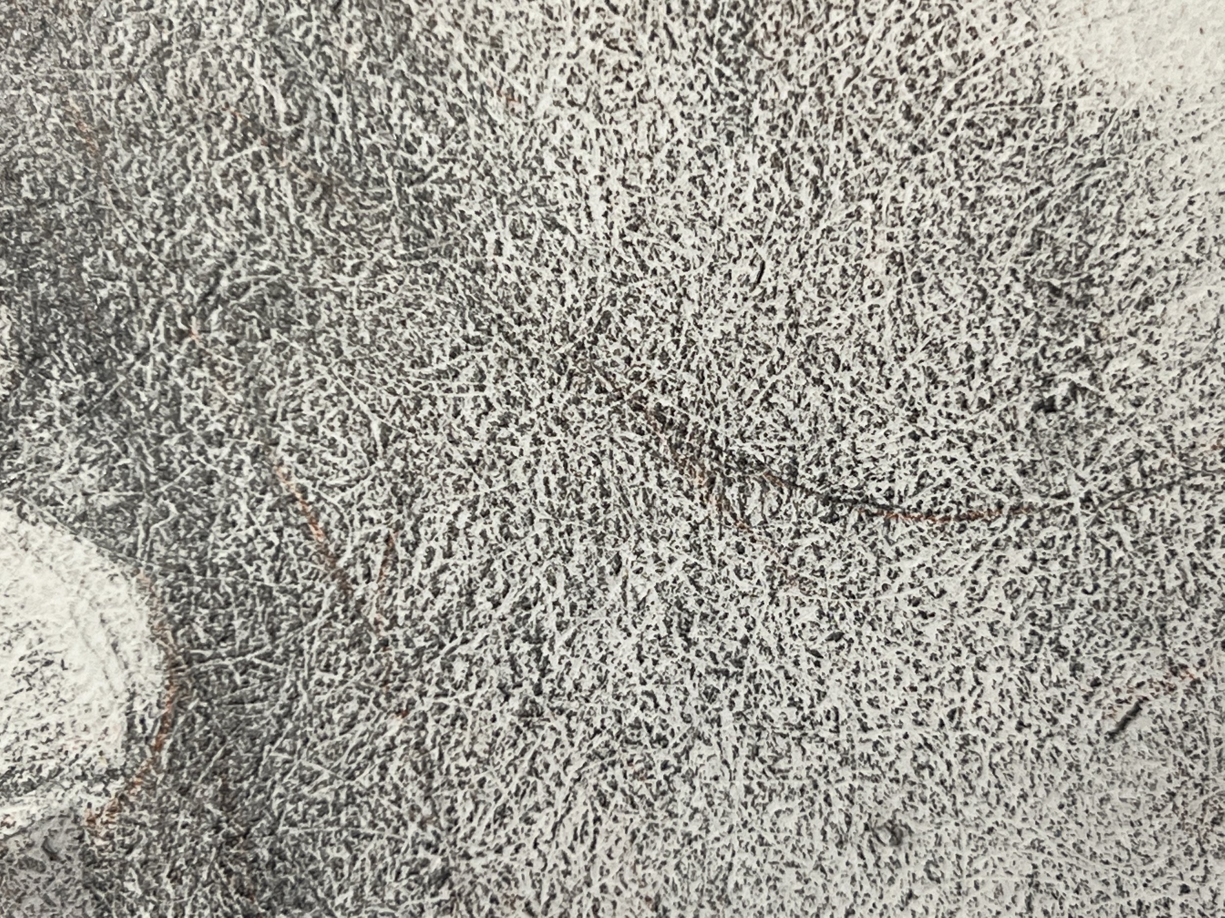 Self-portrait with stencil brush, detail – This is a good example of the felt hair mark texture common to the papers of the Renaissance.