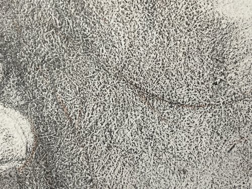Self-portrait with stencil brush, detail – This is a good example of the felt hair mark texture common to the papers of the Renaissance.