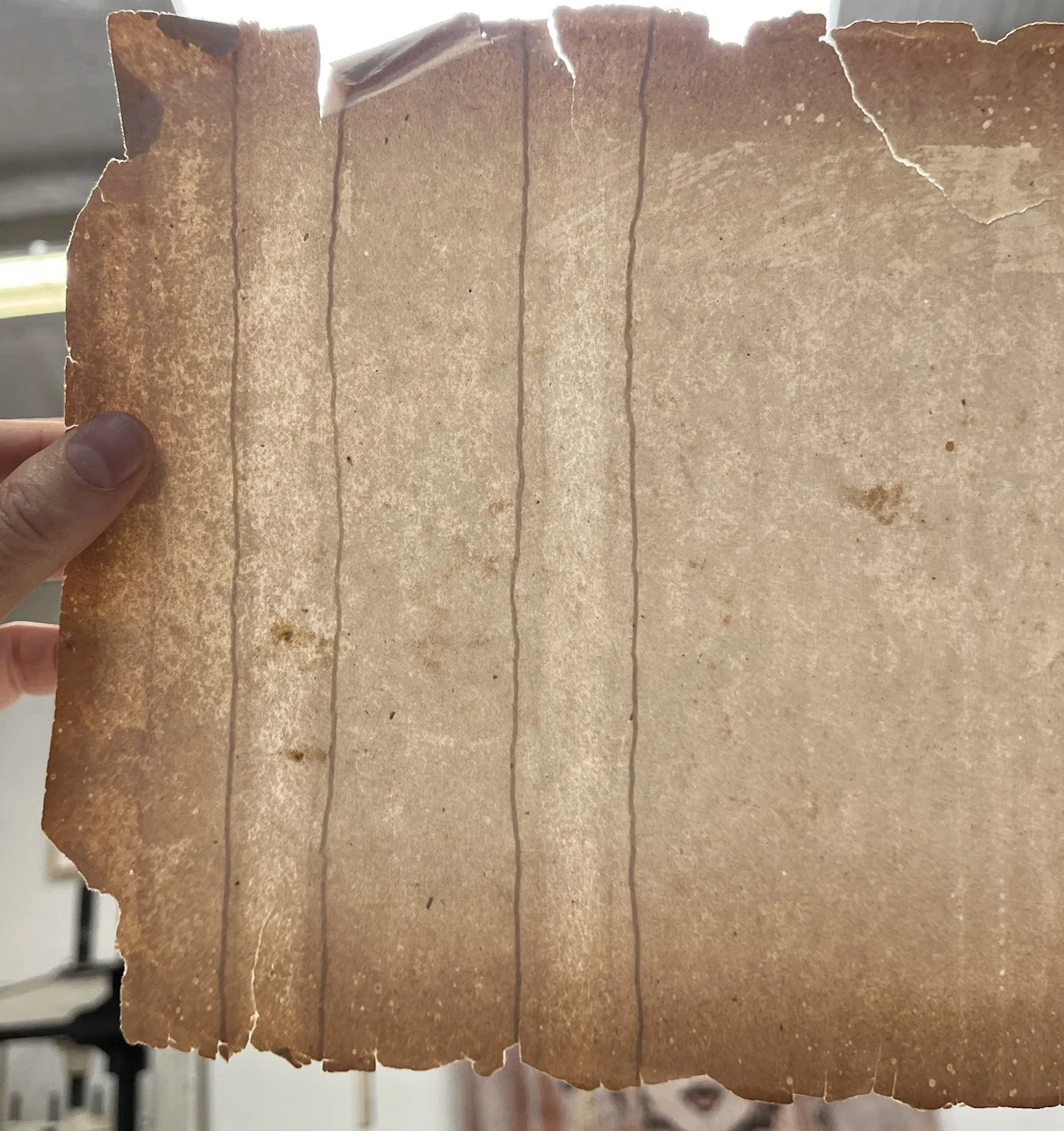 Unknown wove sheet flaw. Possibly percussion (i.e., dropped mould on top sheet of post) or water wave lifting furnish/sheet between rib(s) or wooden slat take up real damage on the paper machine?
