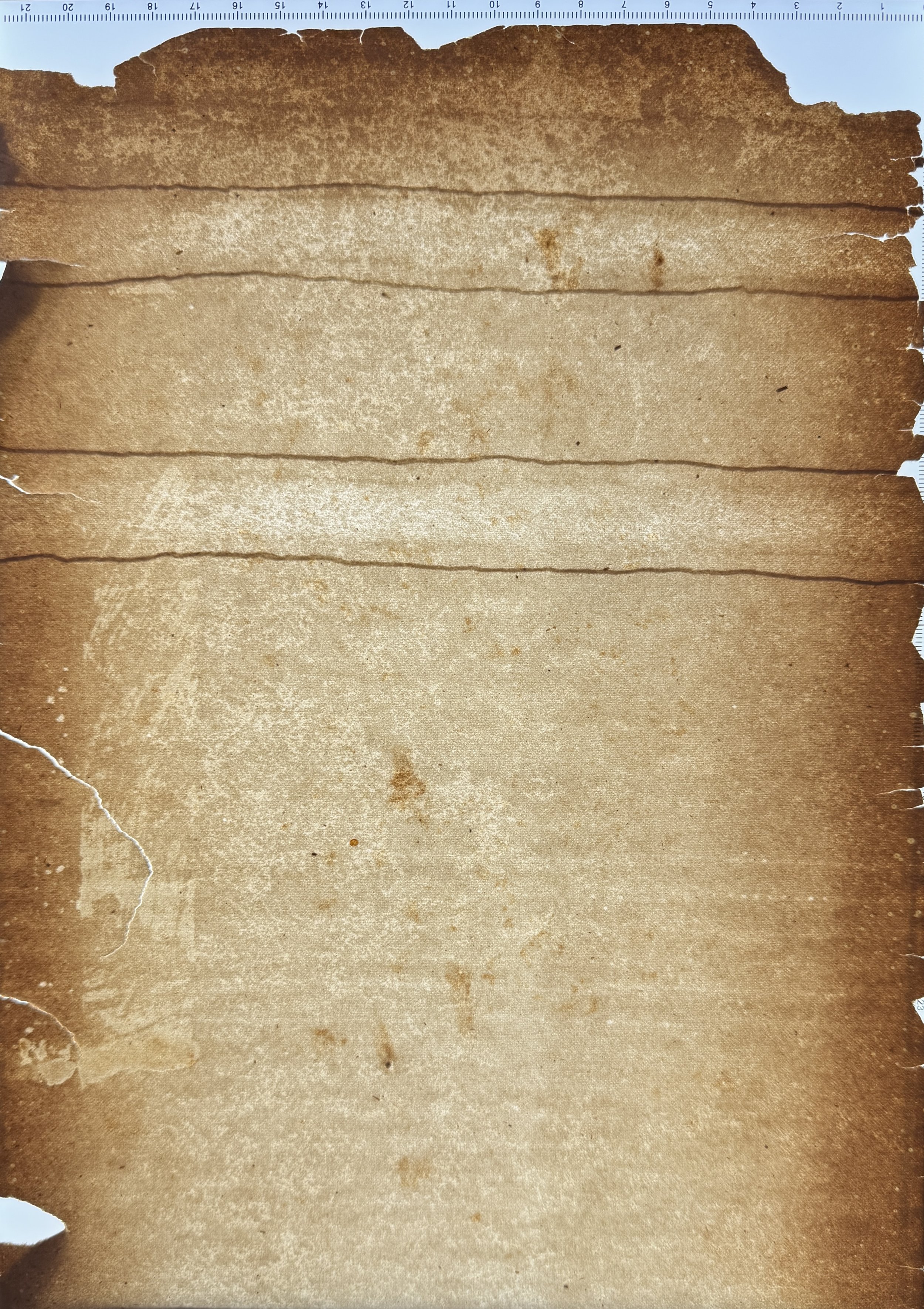 Unknown flaw #9: Update: Cathy Baker: "may have been made on a cylinder machine and perhaps due to a 'stuttering' cylinder." Wove likely machine-made sheet.