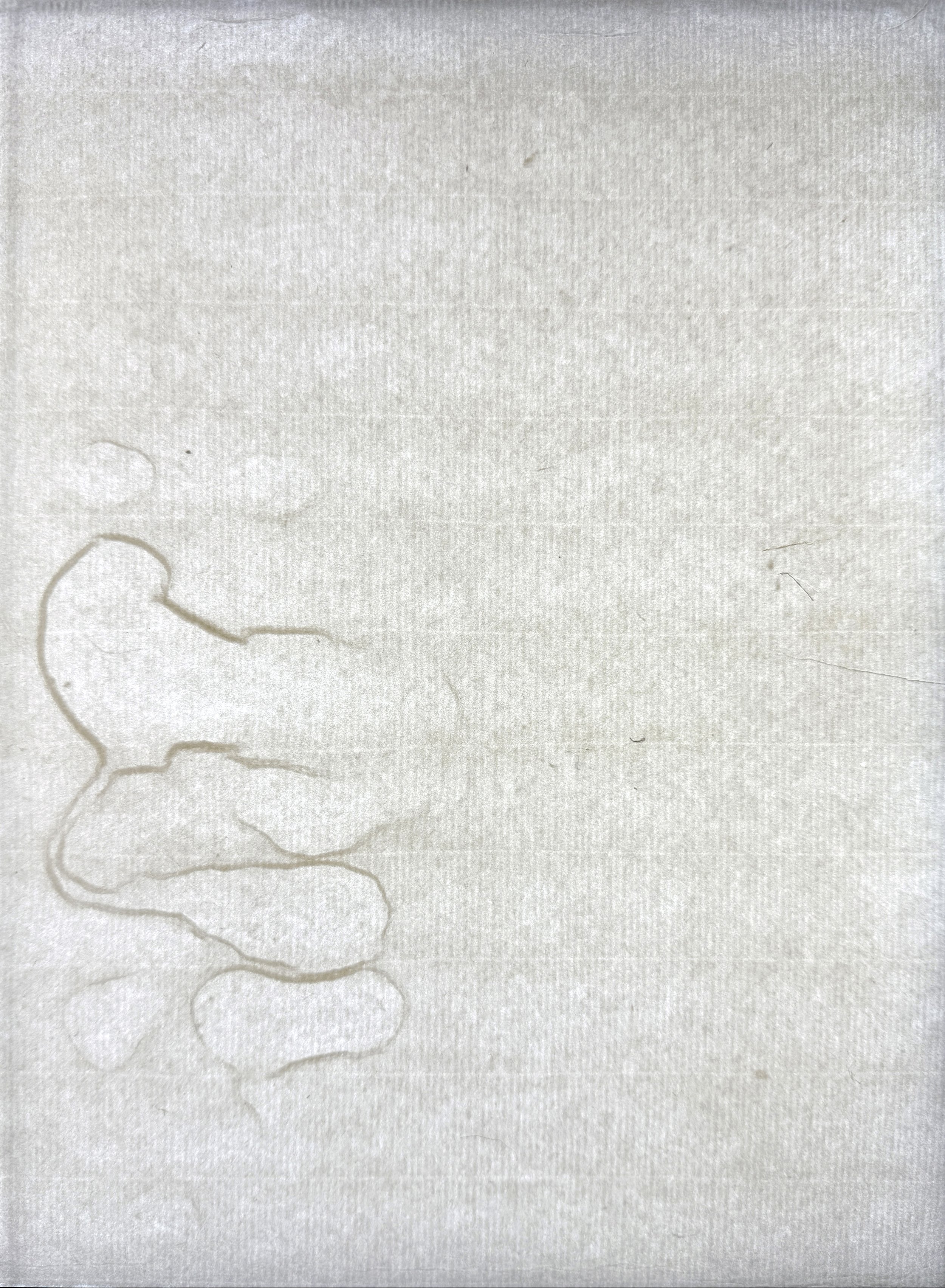 Magnolia Air Bubble (blister), flax & hemp