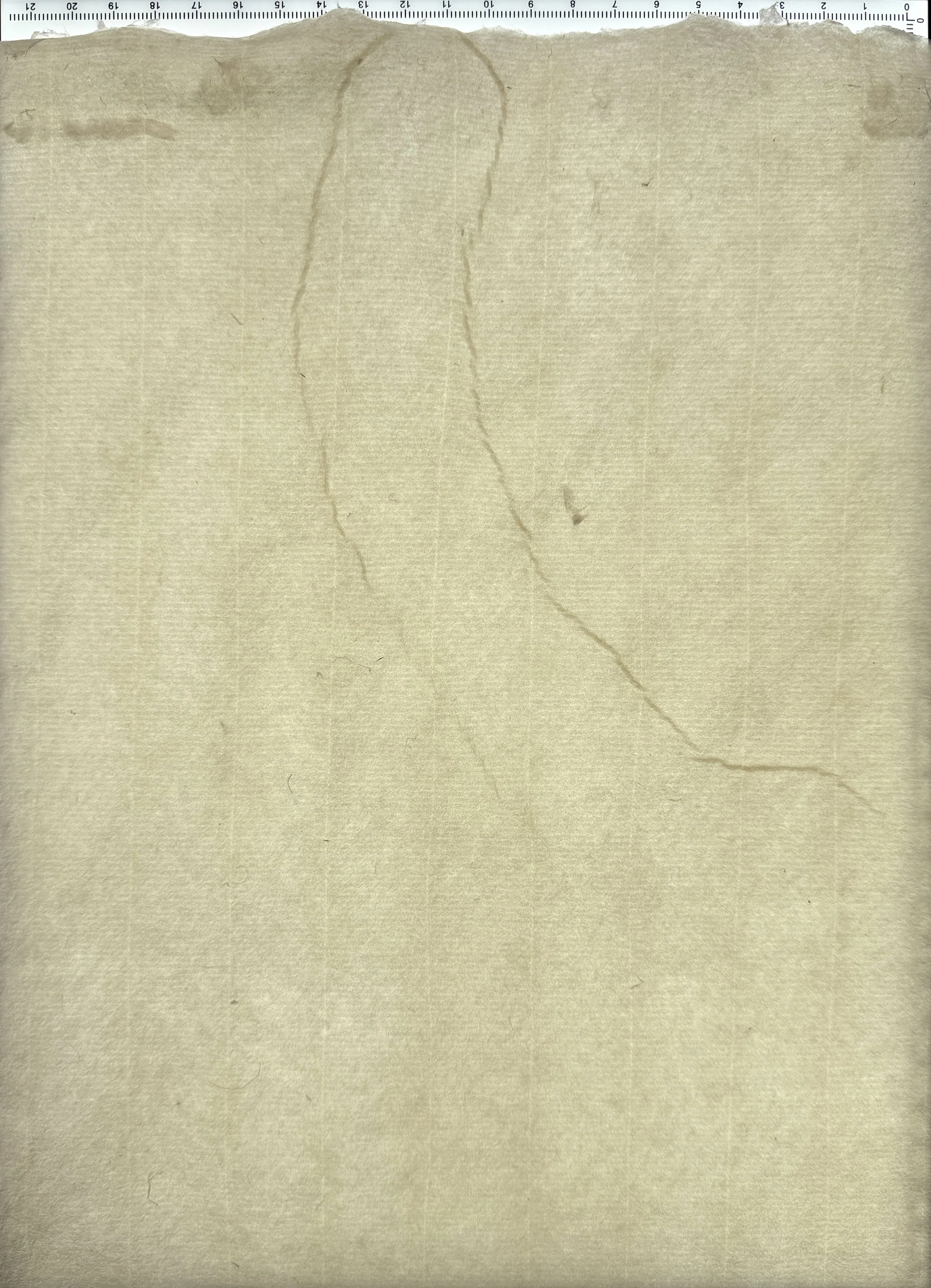 Magnolia paper: Water path from uneven moisture on felt or disrupted sheet after couching. Flax and hemp furnish