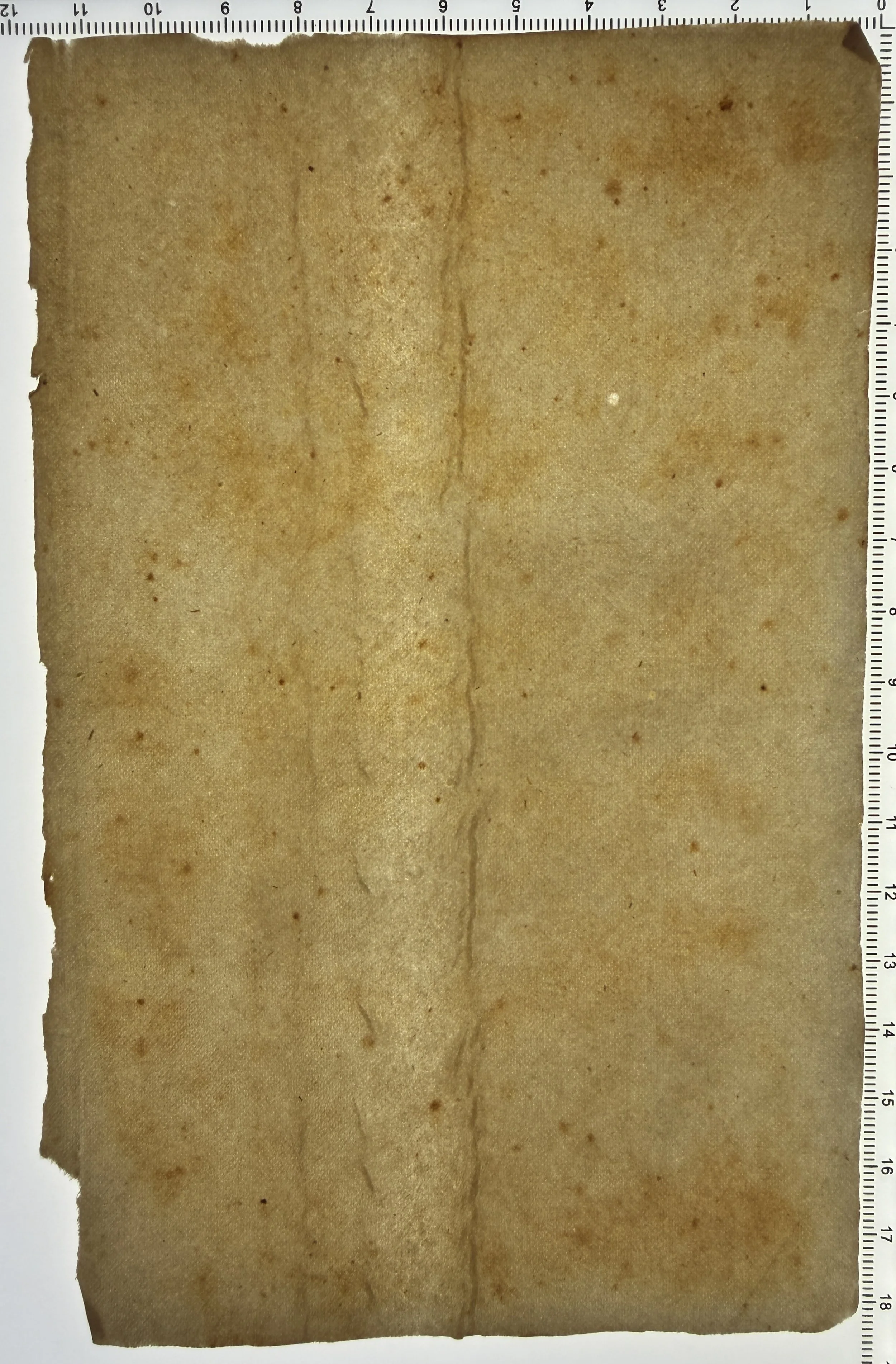 Unknown flaw #7: Update: Cathy Baker suspects this is a tunnel —long air bubbles. Flaw on a matching wove sheet as flaw #6