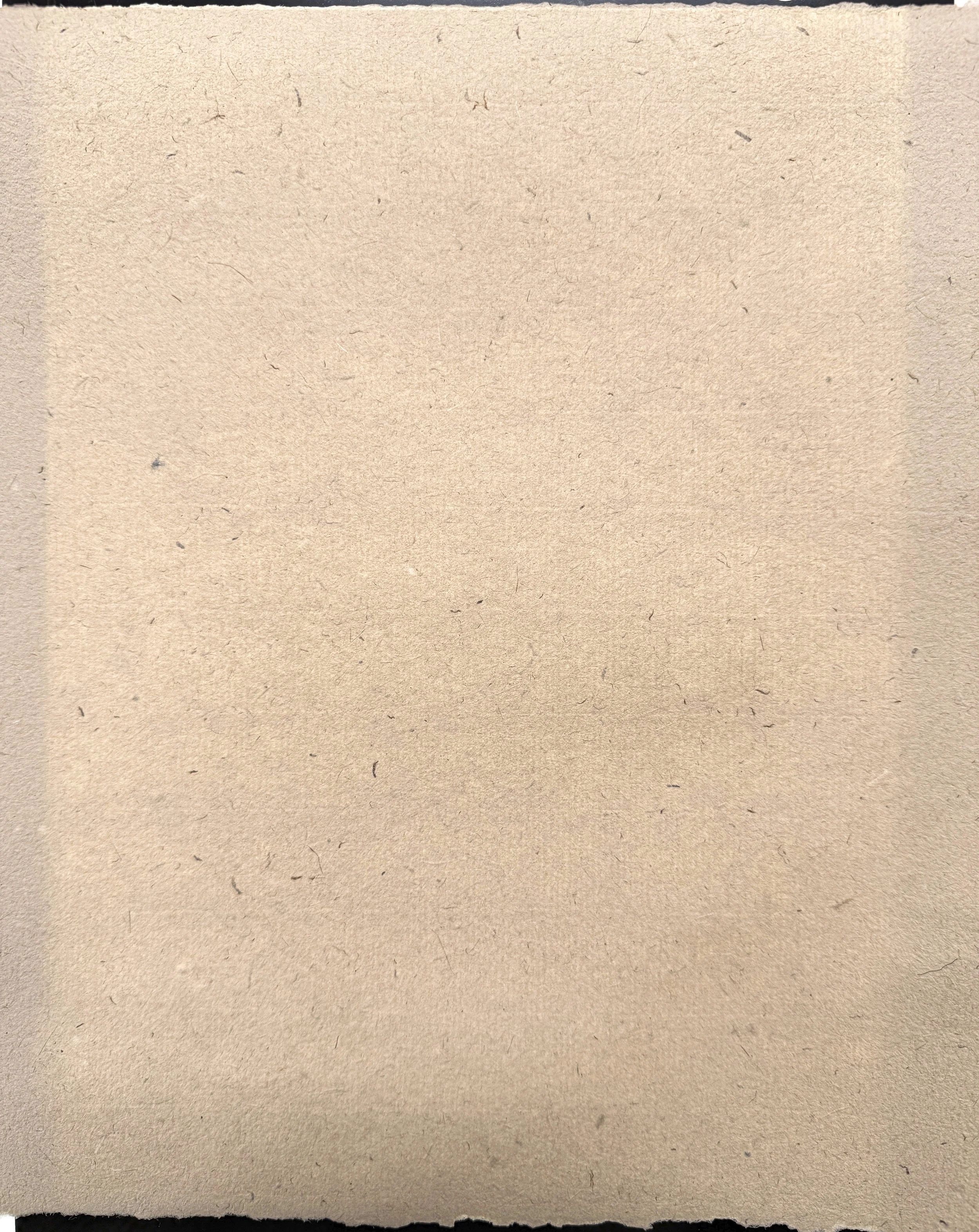 Magnolia Shives, flax & hemp