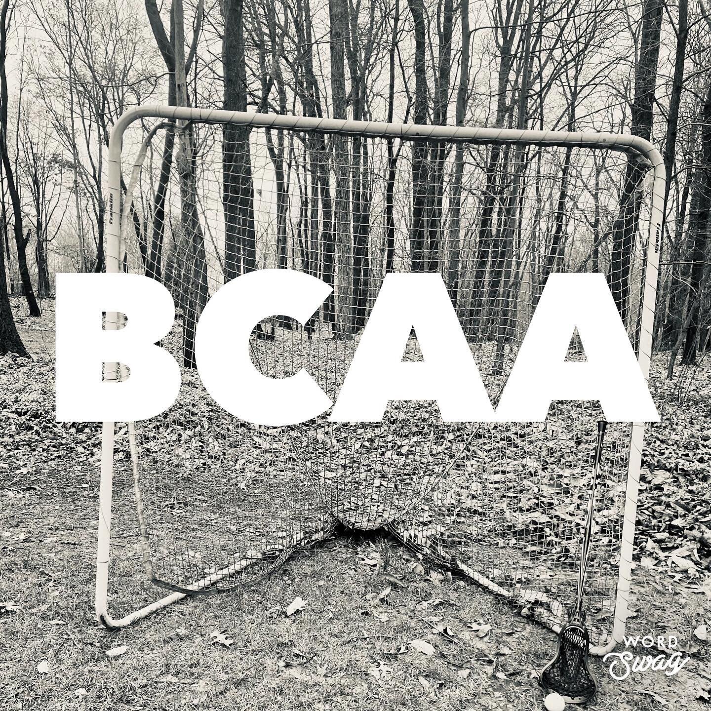 Leucine is THE branched chain amino acid (BCAA) needed for optimal post workout recovery for every athELITE.

Leucine turns on the pathways to building muscle mass. 

Does your recovery drink provide you with adequate amounts of not just any BCAAs bu