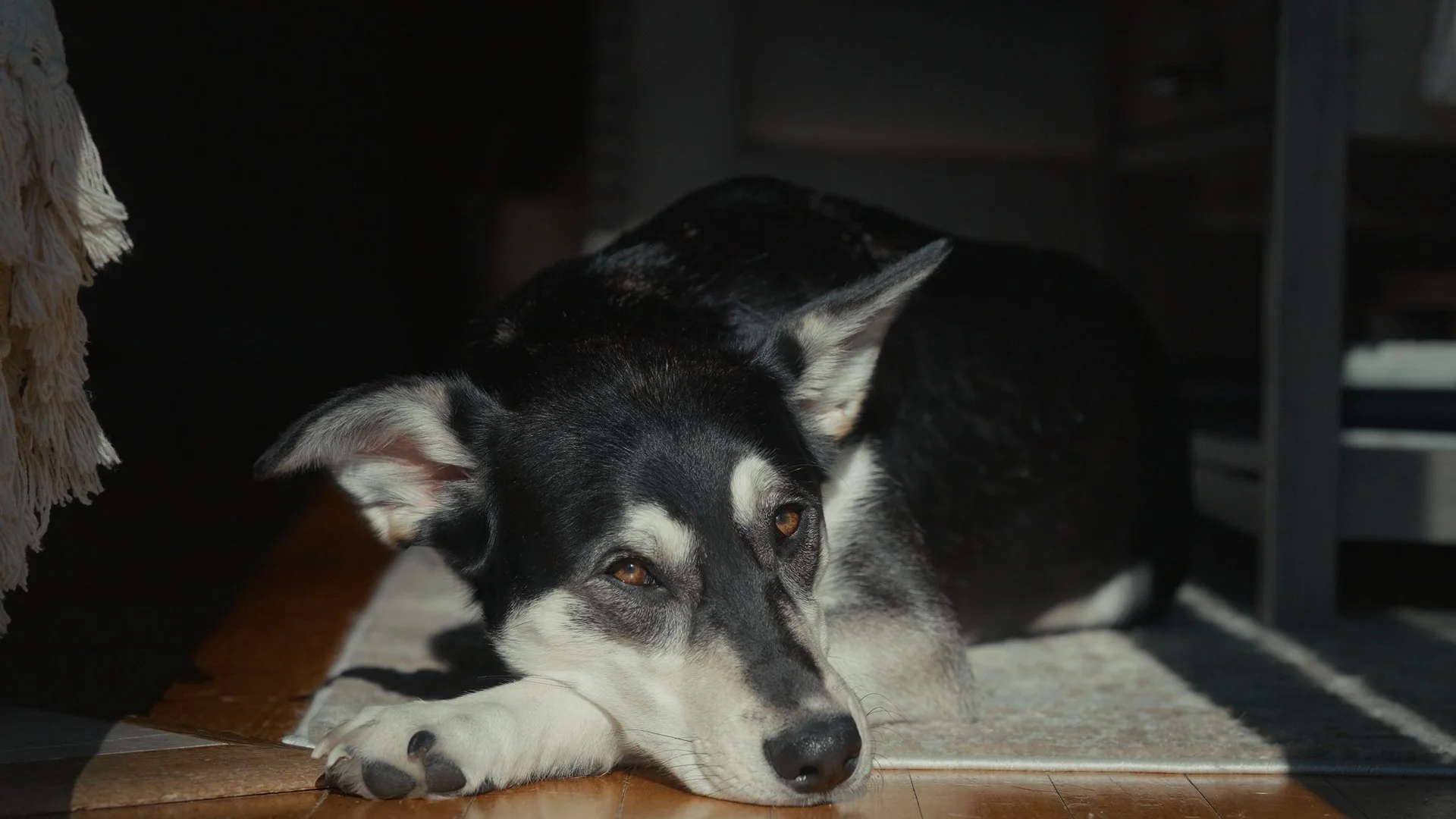 TEST LUTS_1.7.1.jpg