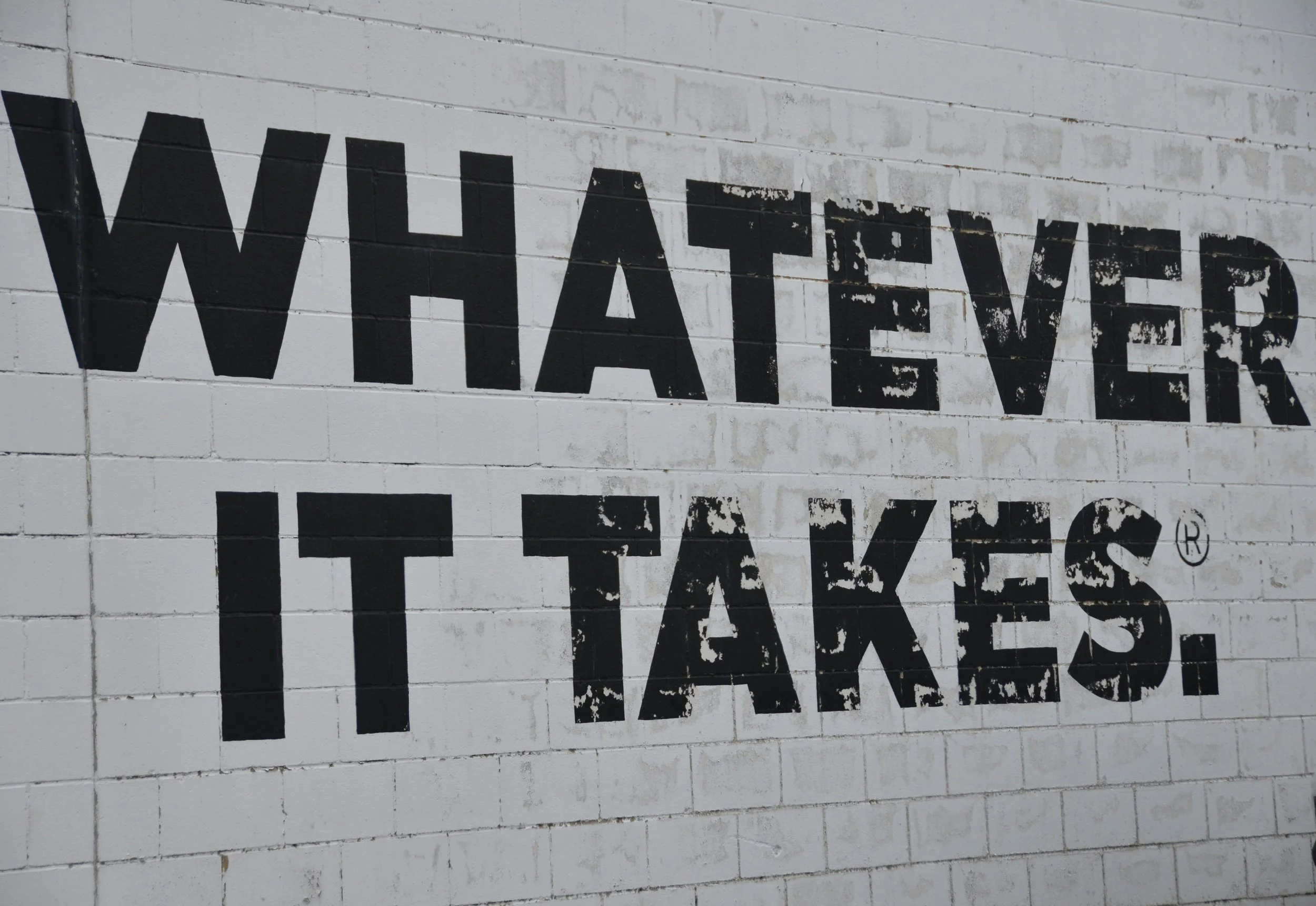 The Work Behind the Momentum: Thrive Limitlessly’s 2025 in Review