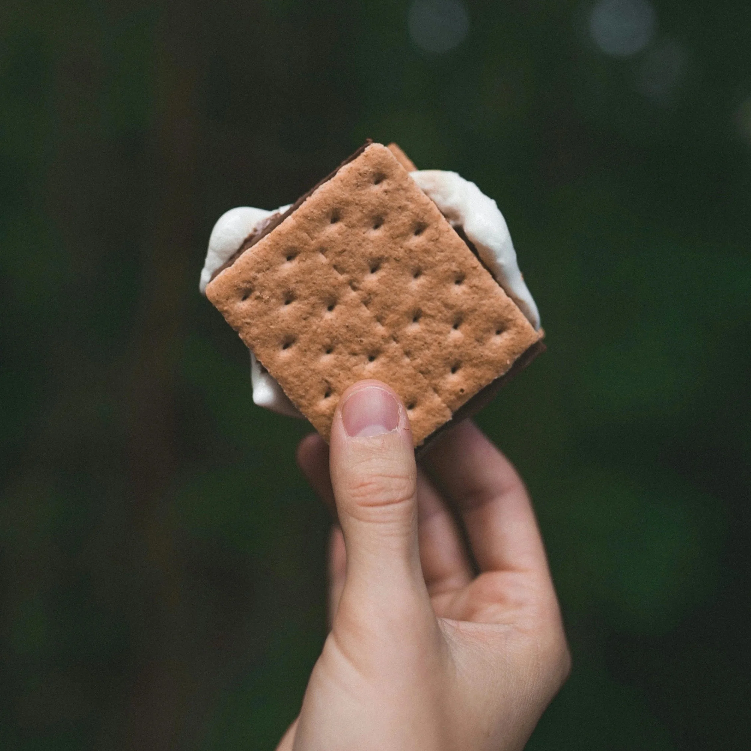 Hand holding a s'more made with graham crackers, chocolate, and toasted marshmallow