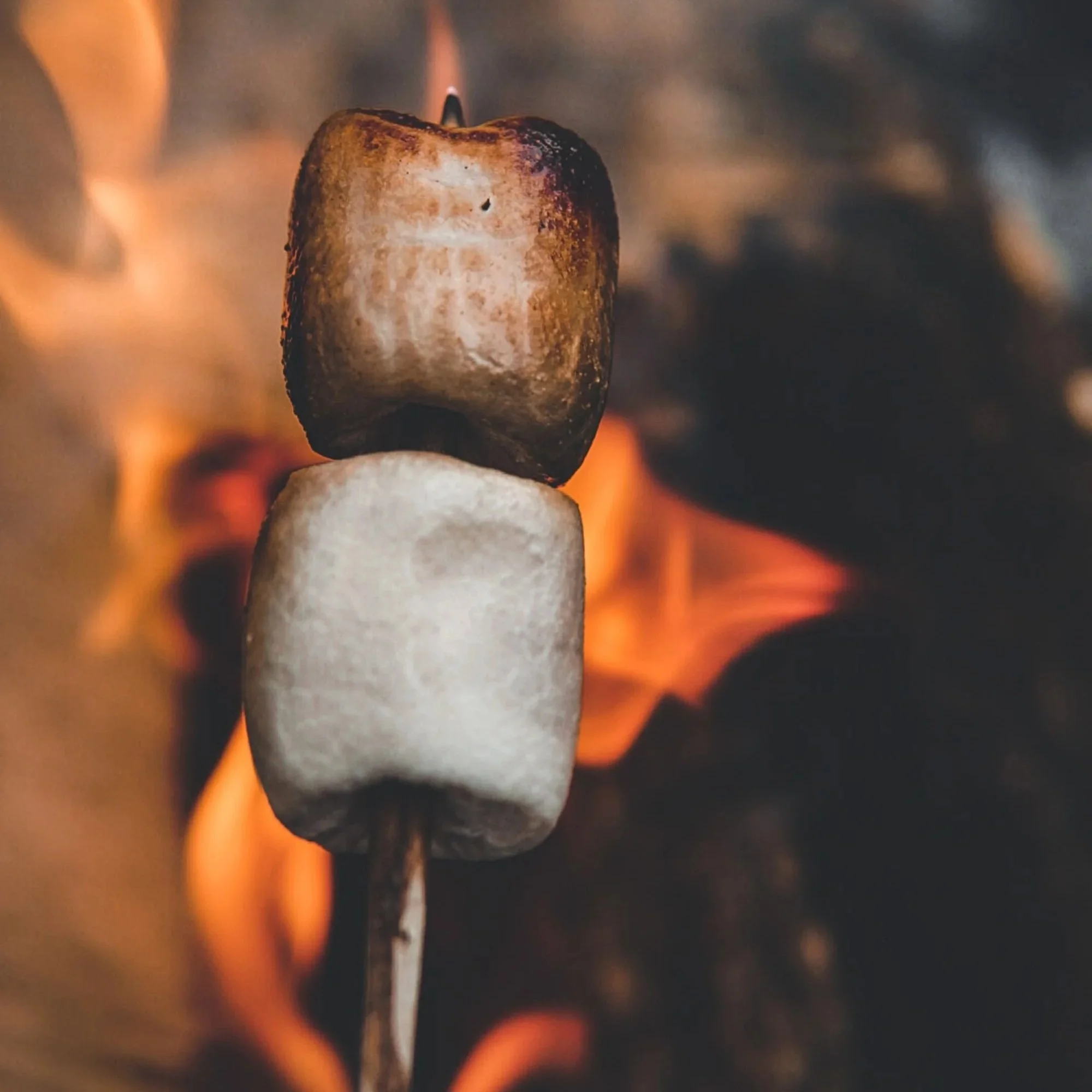 Two marshmallows stacked on a roasting stick over a campfire