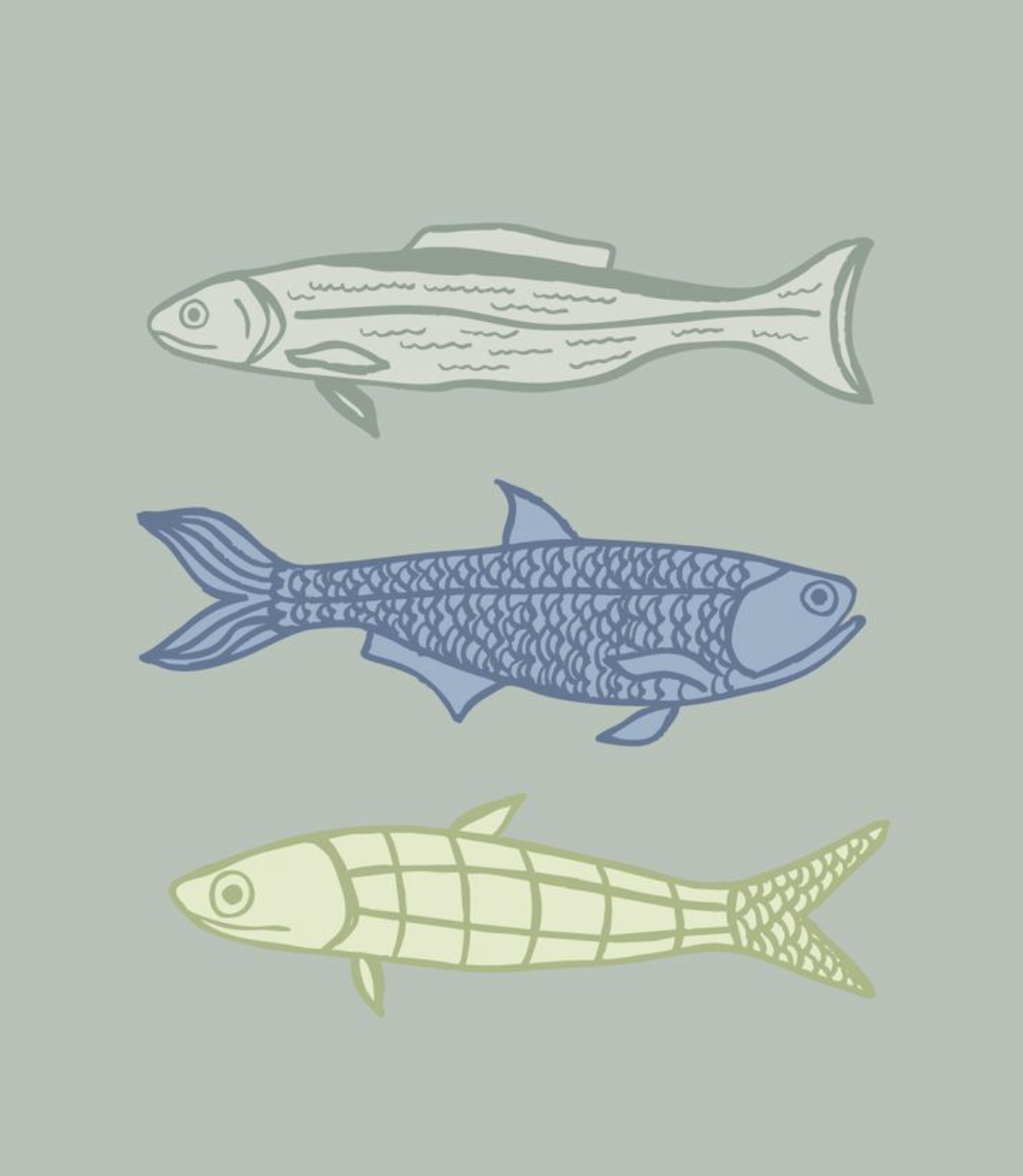 Illustration of three different fish species, one above the other, on a light background.