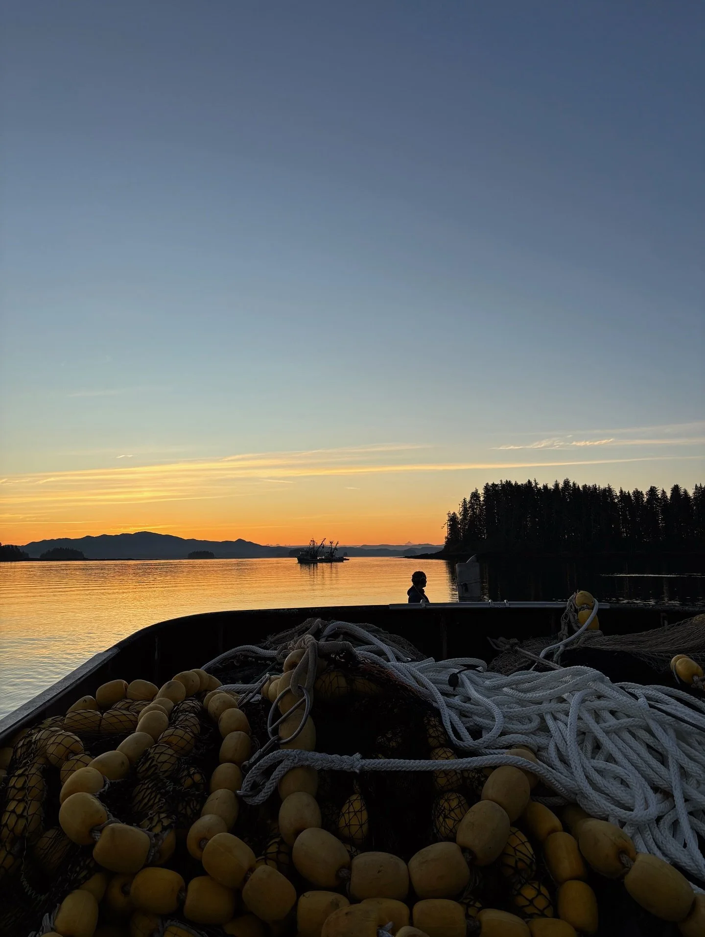 salmon summers, farmers markets, spot prawns & sunsets - just a few of our favorite things โฃ๏ธ