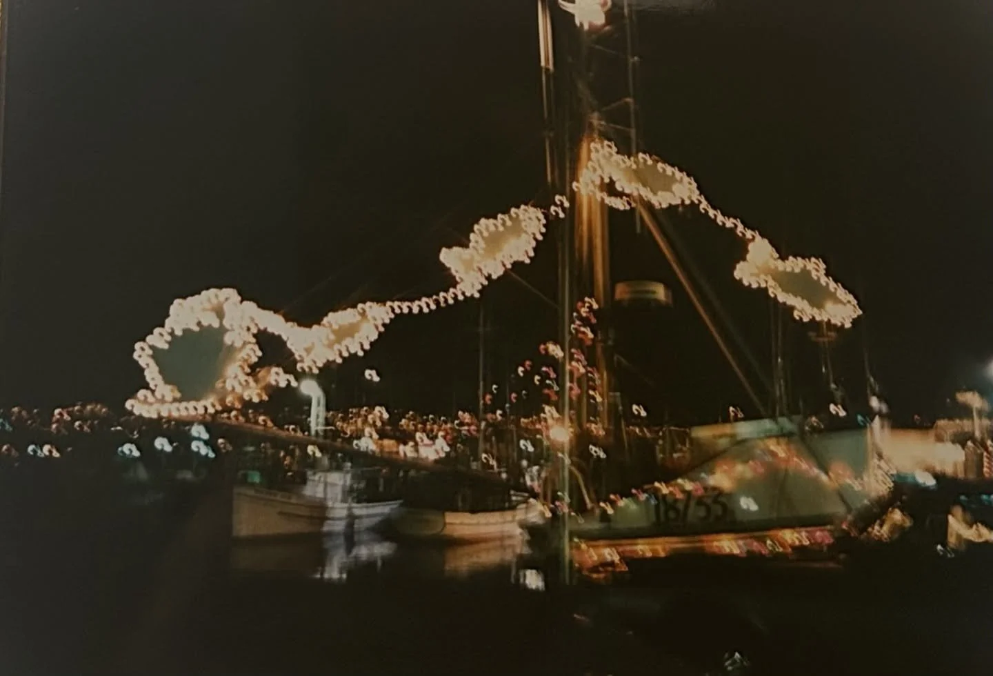 festive fish 🎄🐟🎁🎅🏽