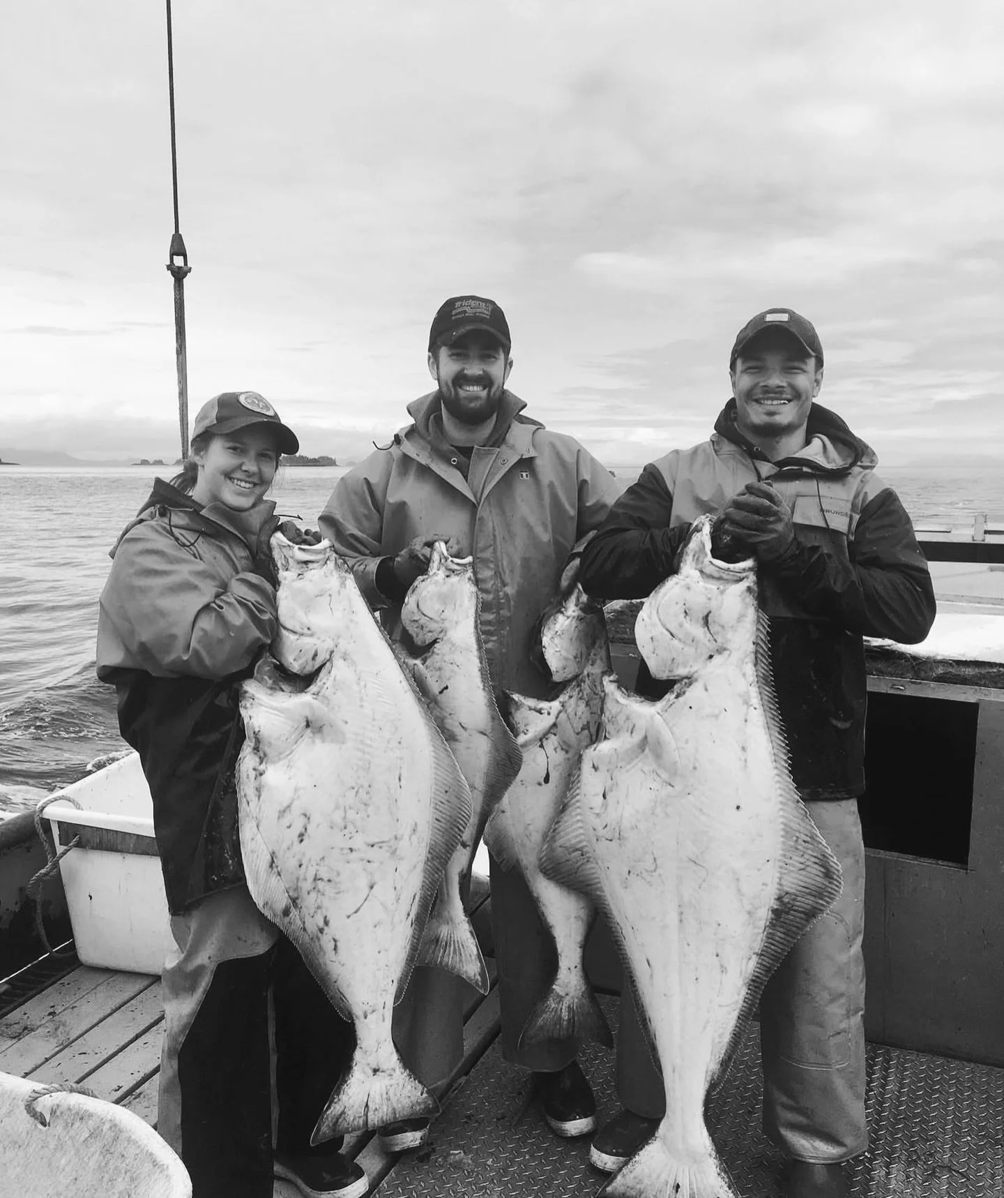 Hope to see you tonight @wineandcheeseplace Creve Coeur from 4-6 ~ we will have a freezer full of wild caught Alaskan seafood for you + yours to enjoy this holiday season &amp; they have all the perfect pairings to go with it 🍷🐟🎁🫒🎄🧀🥃🍴🎊