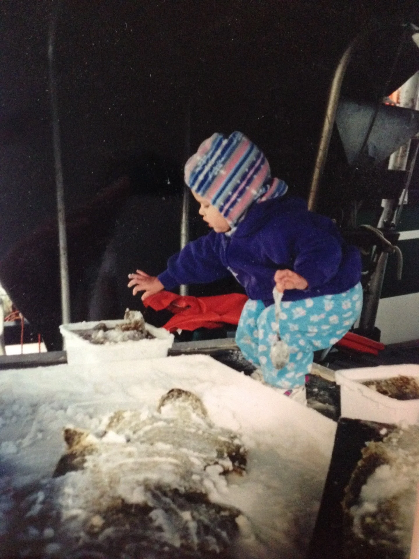 a little blast from the past since it&rsquo;s that time of the year 🐟📸 herring roe on kelp 1998 @sdahl44
