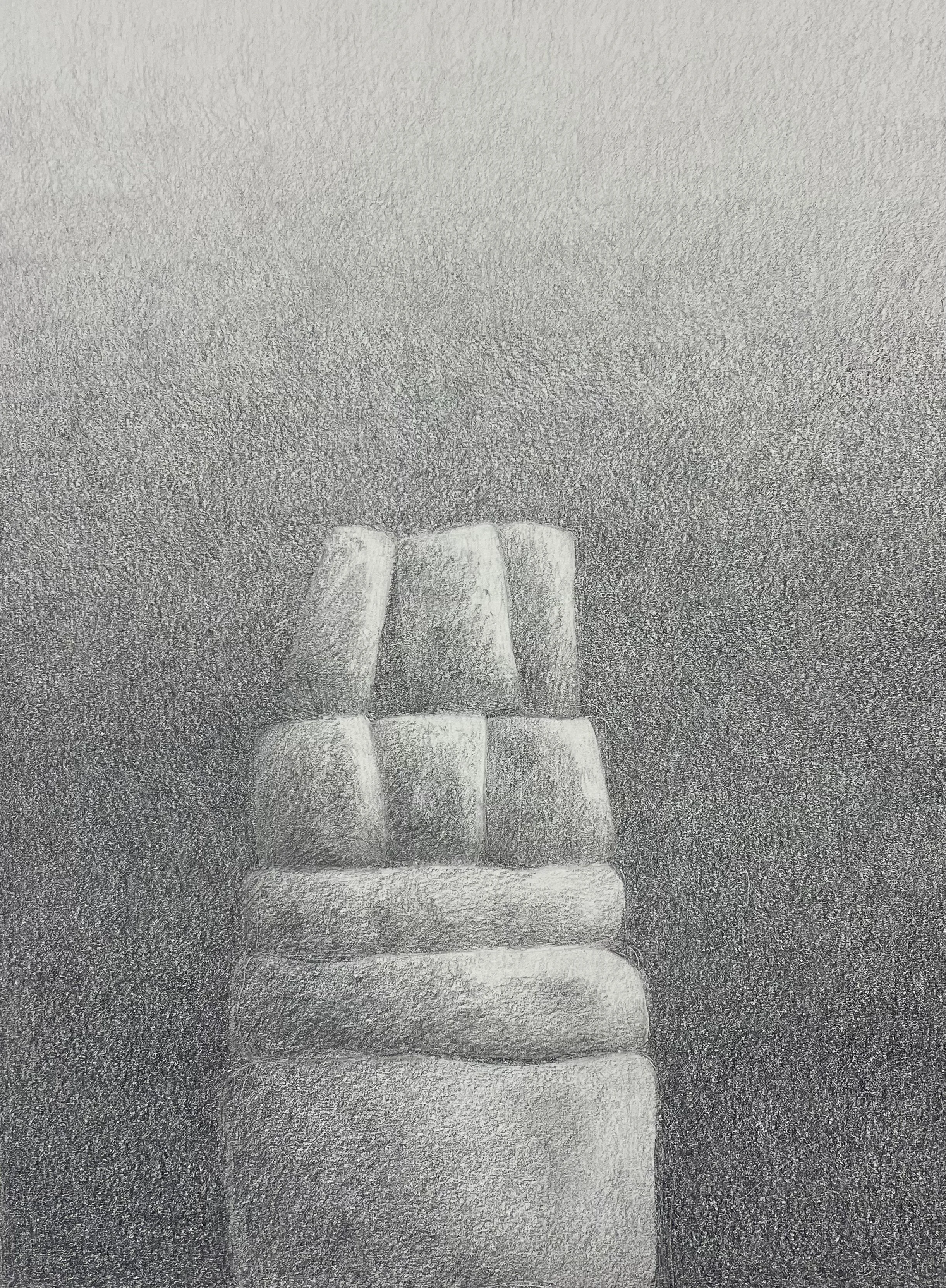  What To Do If All Else Fails 3  Colored pencil and graphite on paper  12” x 8”