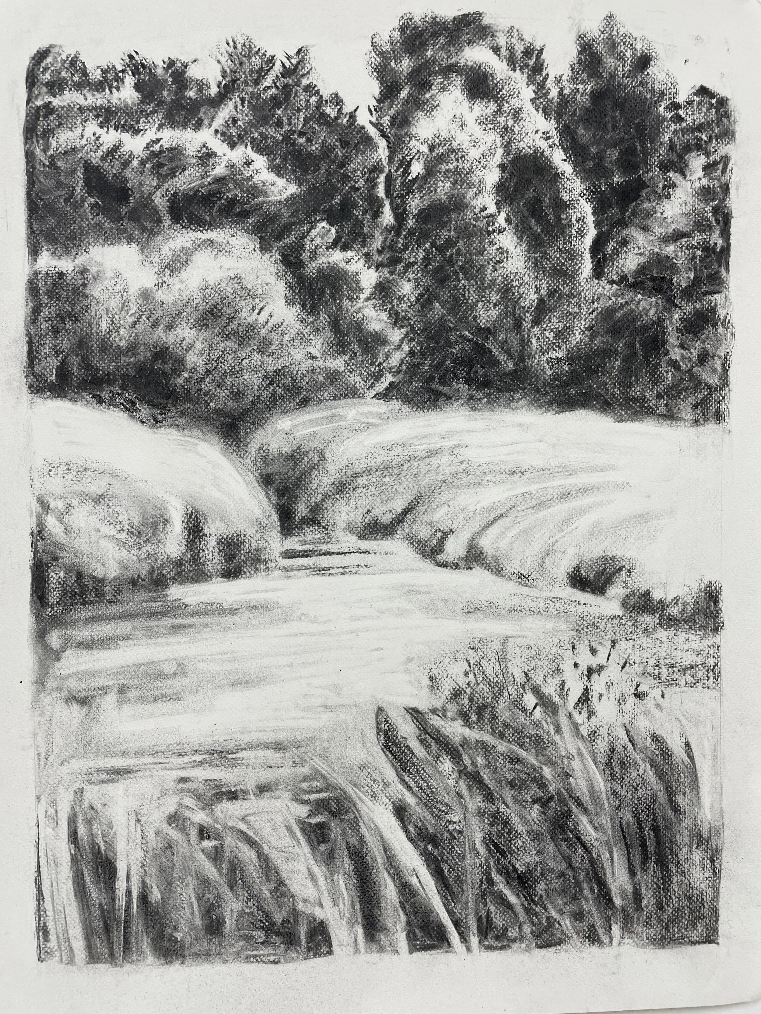  River Meadow  Charcoal on Paper, 22” x 16