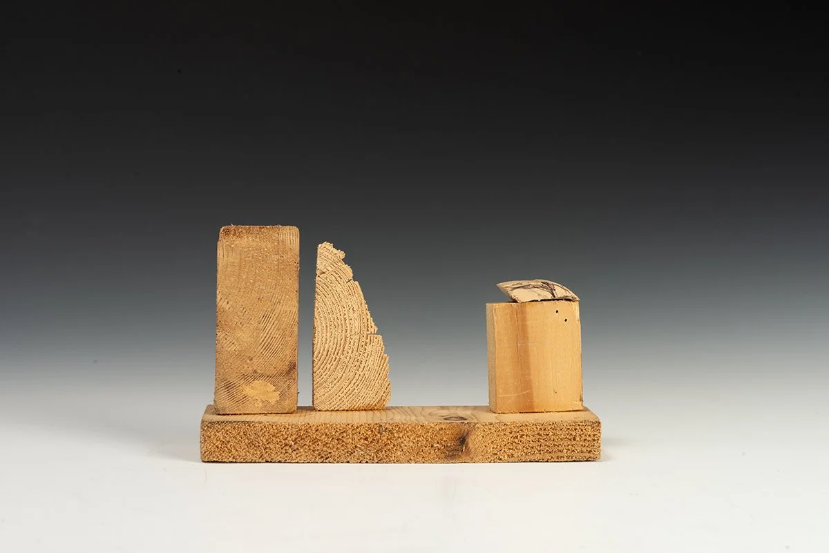  Wood Sculptures 4  5” x 7” x 2”