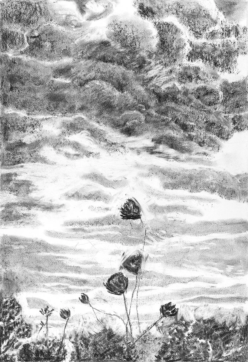  Summer’s End  Charcoal on Paper, 14” x 21”