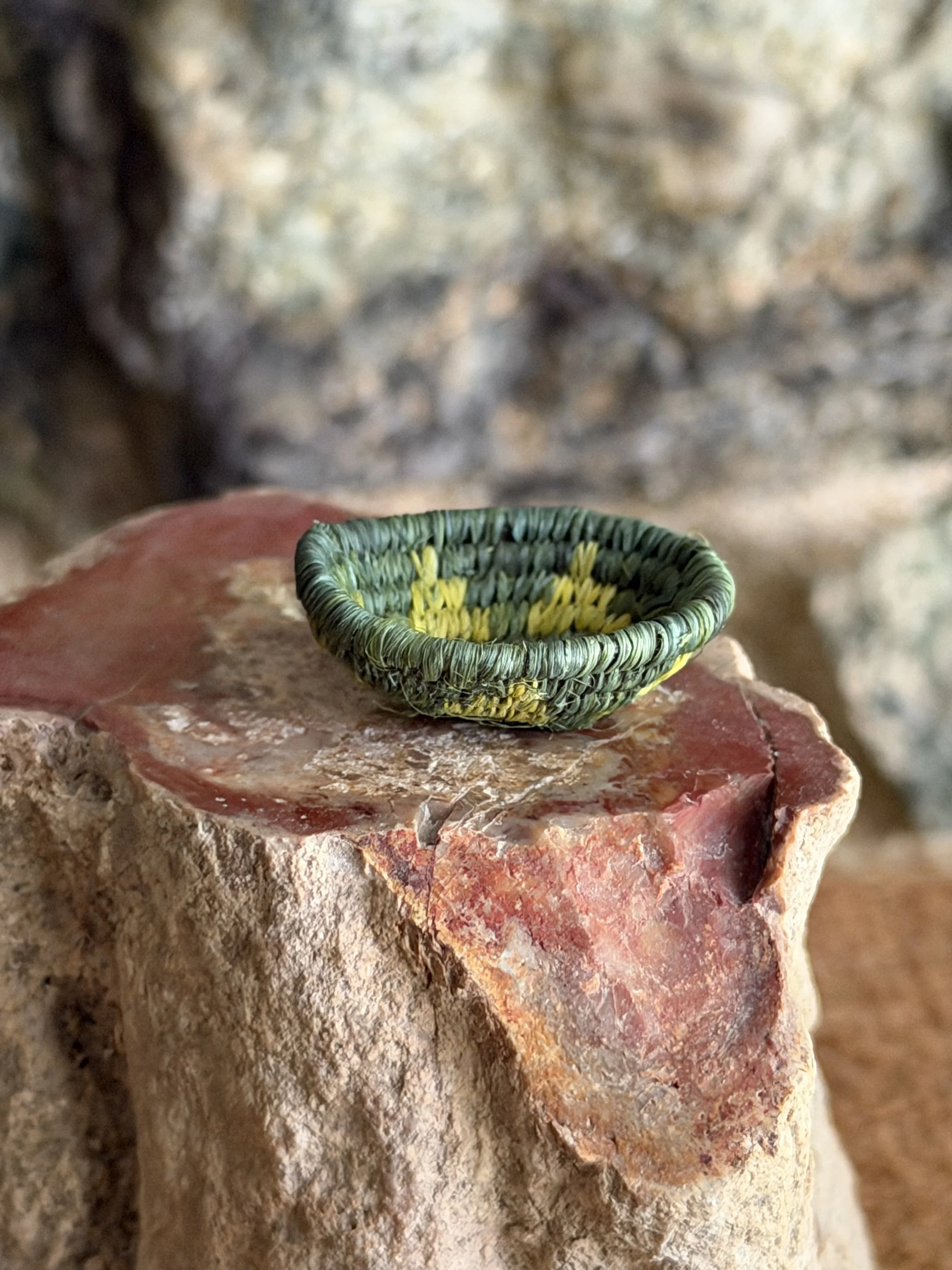 IMG_7602.jpeg