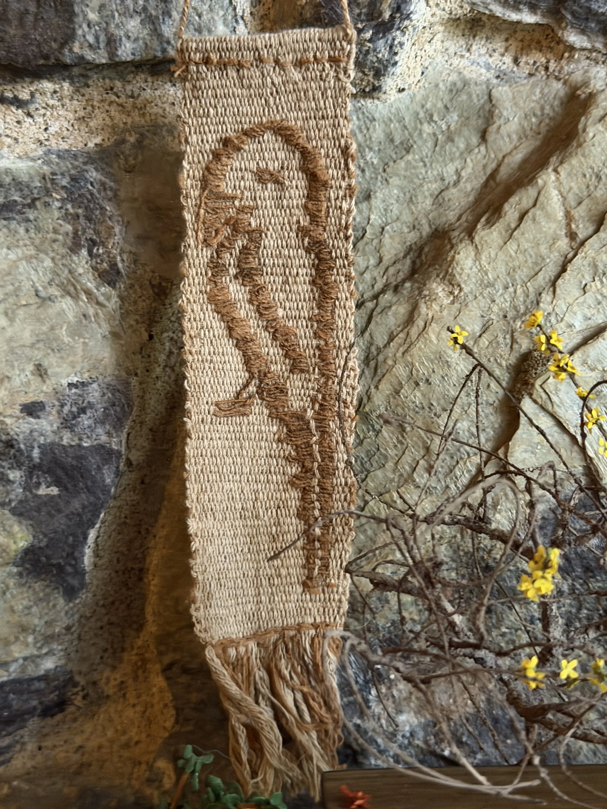 IMG_7773.jpeg