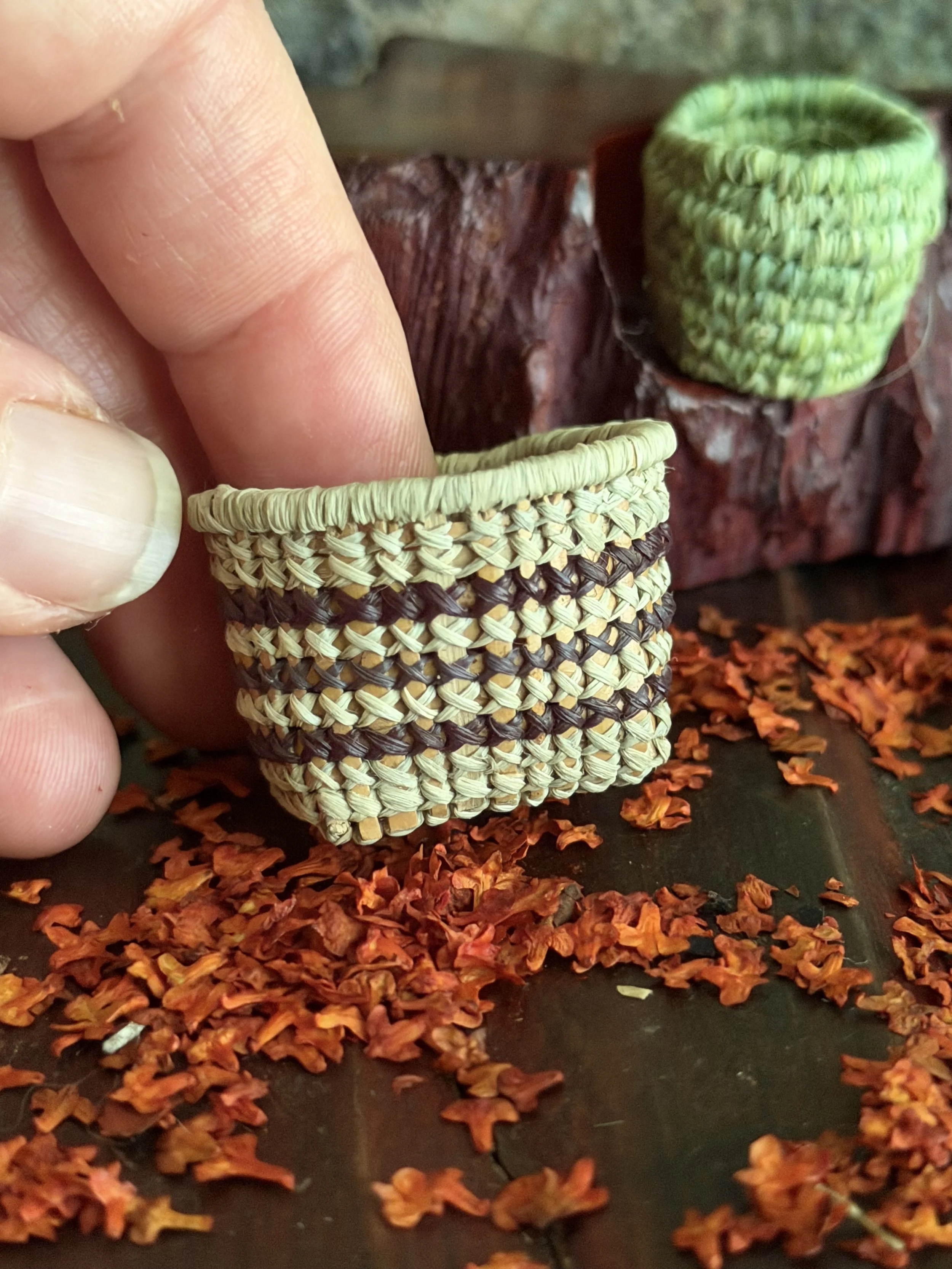IMG_3647.jpeg