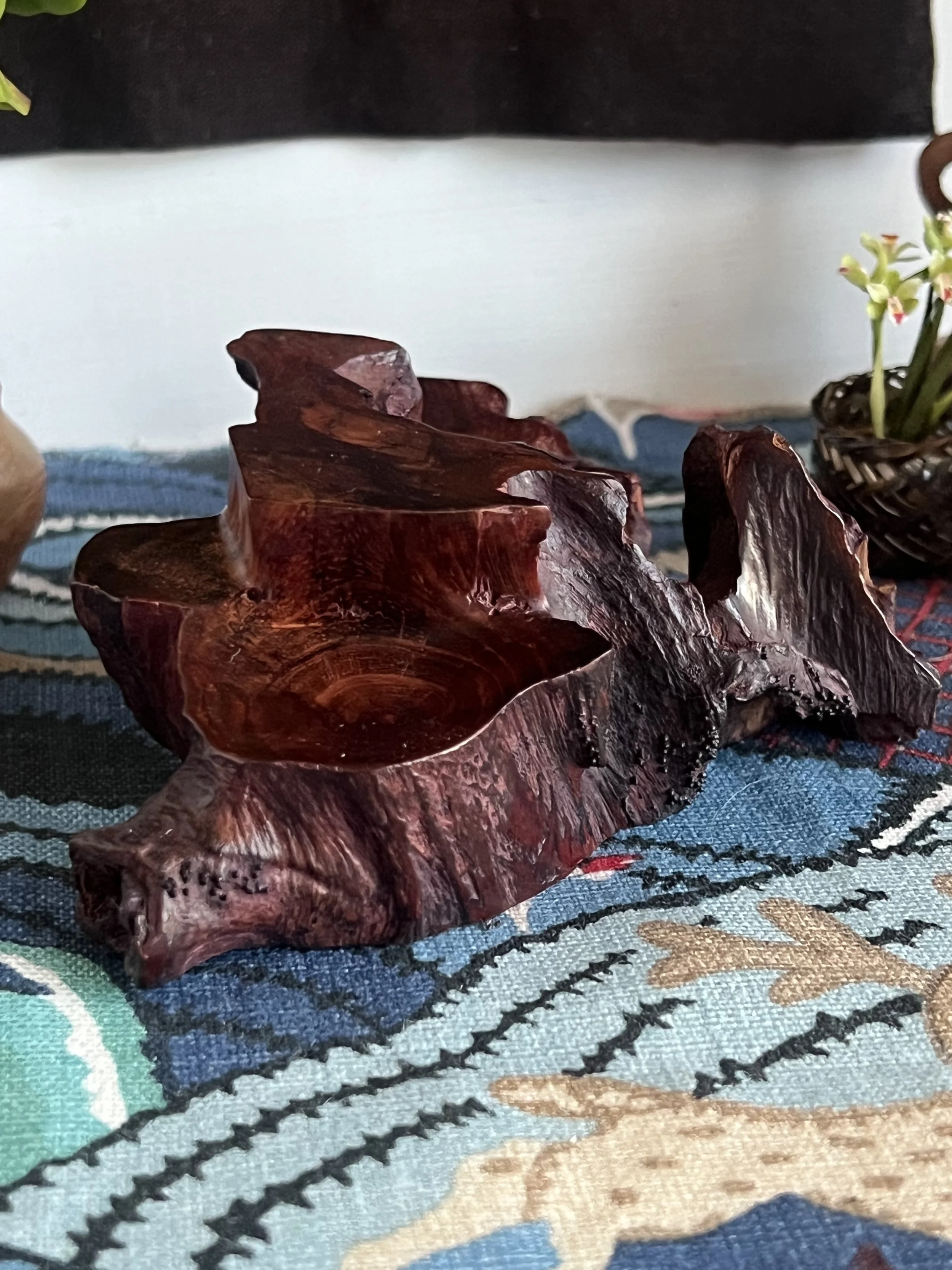 Natural Tree Trunk Display