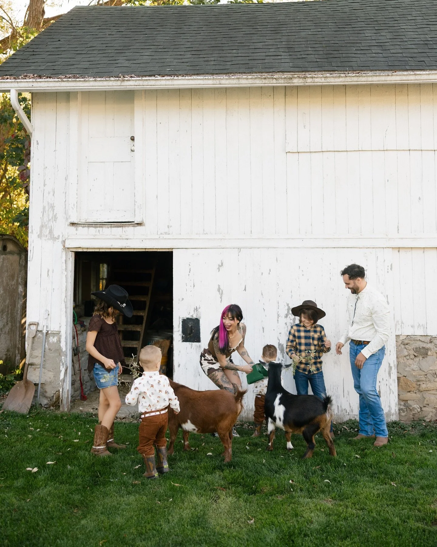 More sessions with goats, please. @bloomfieldsflower 
🐐🌿🐴 🍂🐓🌻