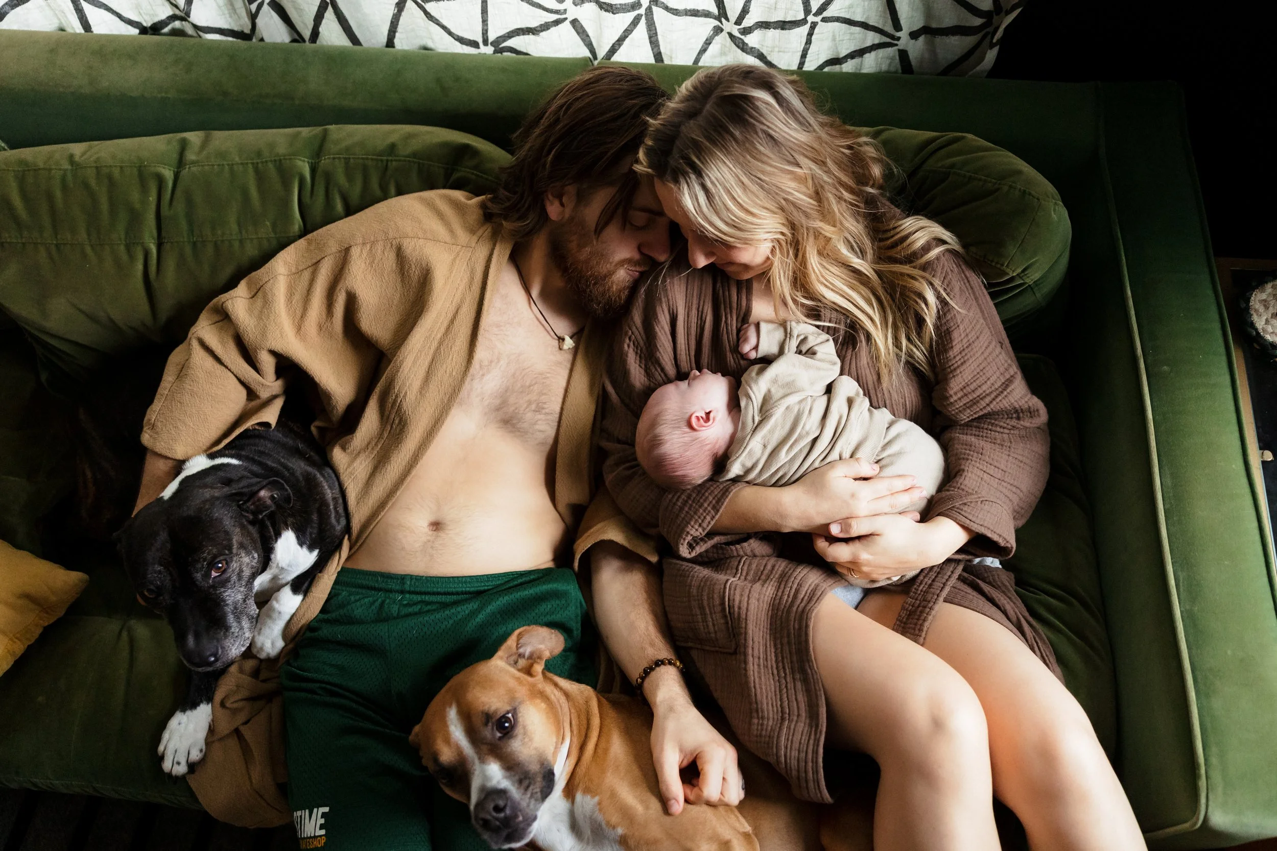 A couple with a newborn baby and two dogs lying on a green sofa during an in-home newborn session in Rochester, NY.