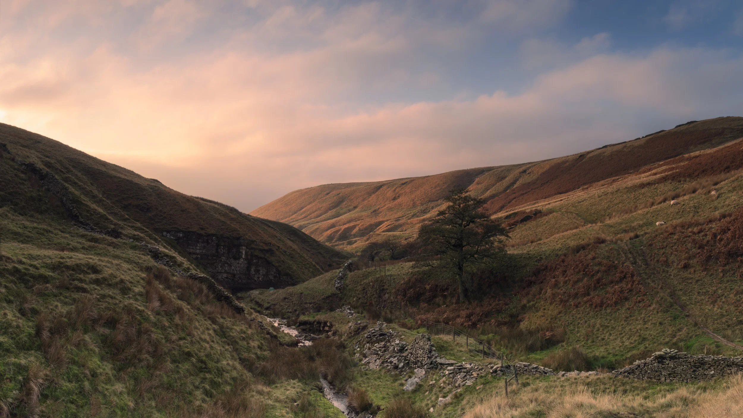 Landscape photo looking down the winding valley of Dearden Clough with a trickling stream, drystone walls, and golden sunset light on the far slopes.